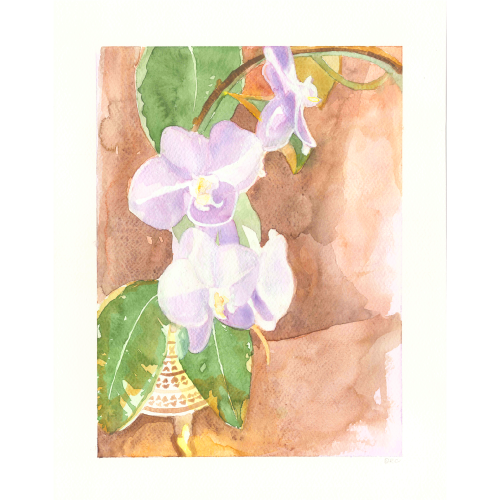 Serene-Orchid-Light-#2.png