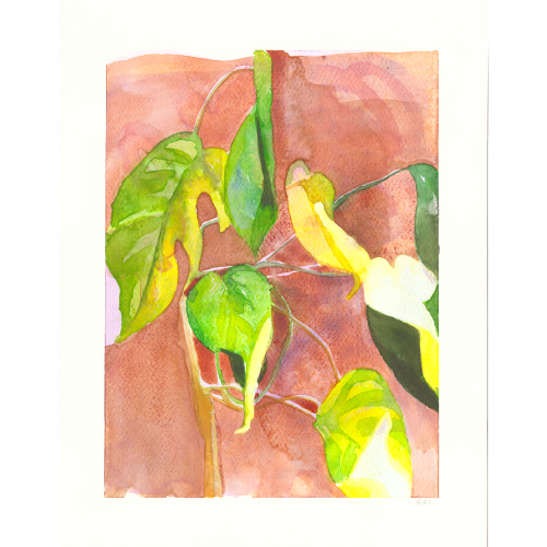 Serene-Orchid-Light-#3.png