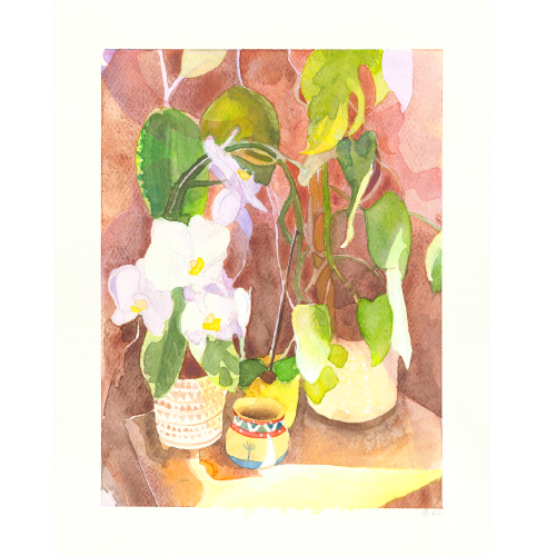 Serene-Orchid-Light-#1.png