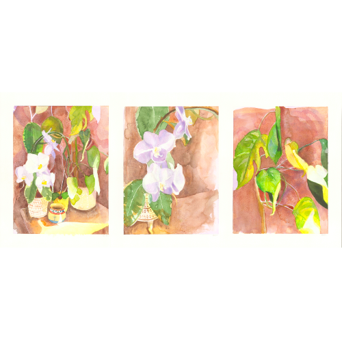 Serene Orchid Light Triptych Watercolor
