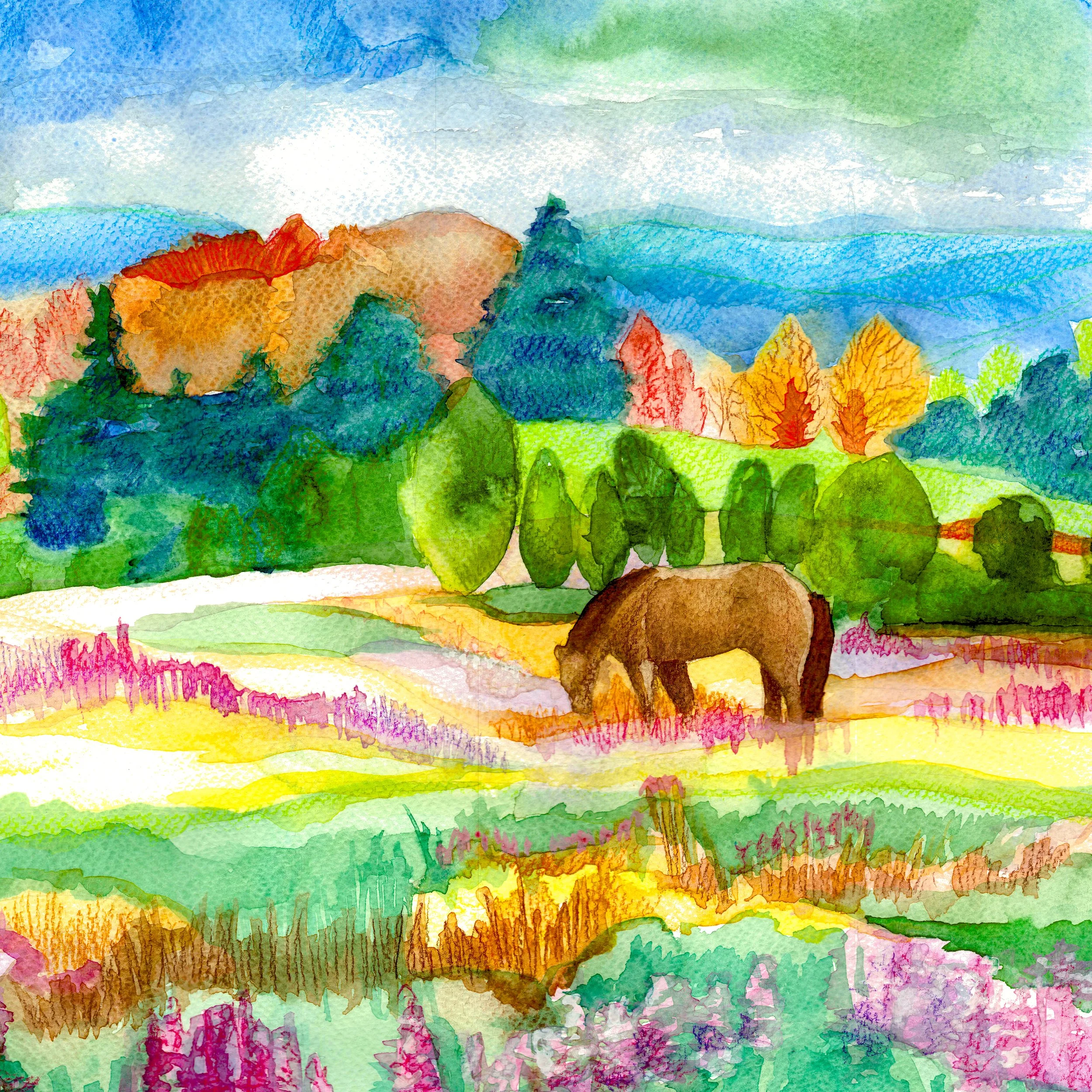 Horse-in-a-dream-close-up.jpg