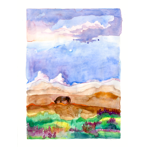 Gentle-horse-in-field.png
