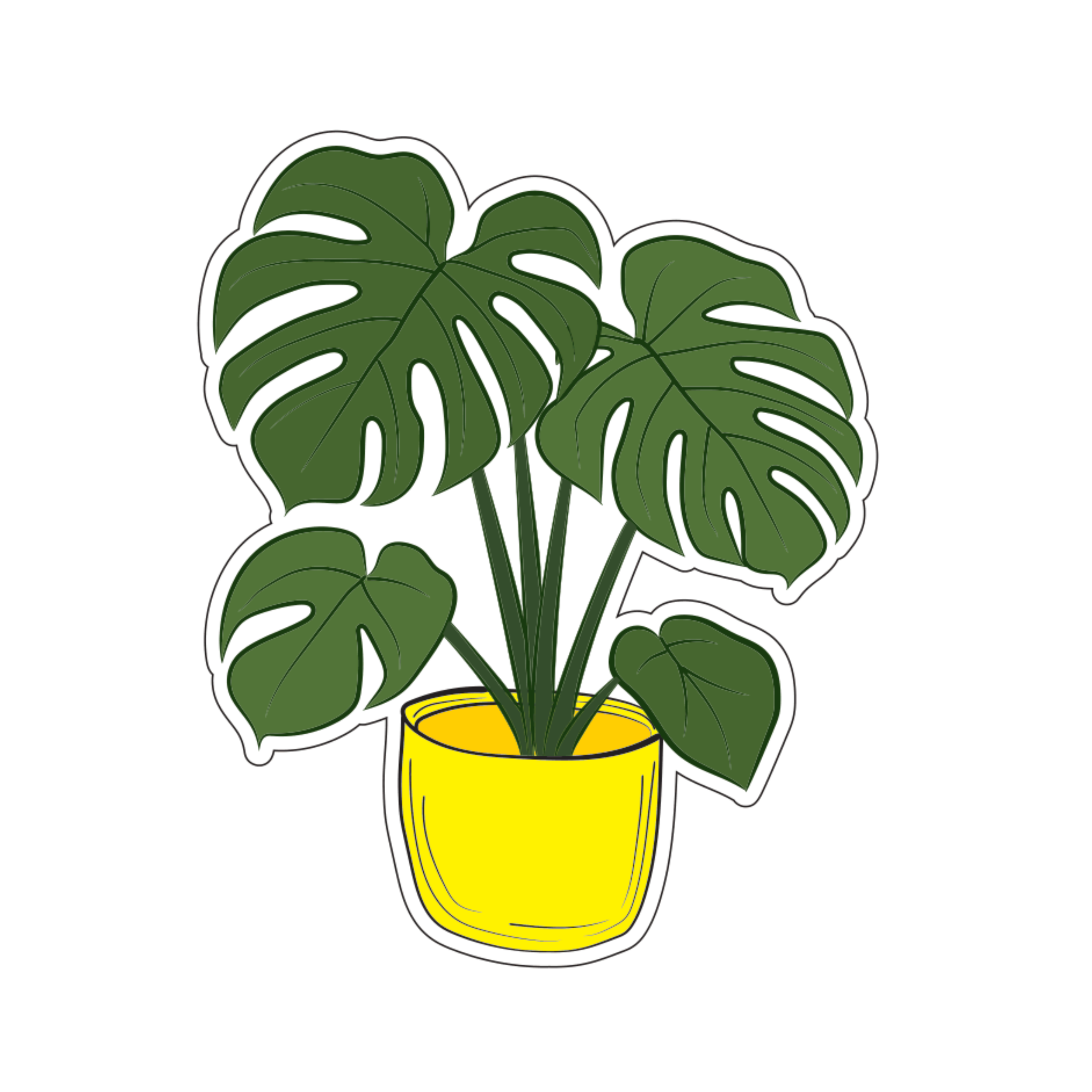 Monstera #1