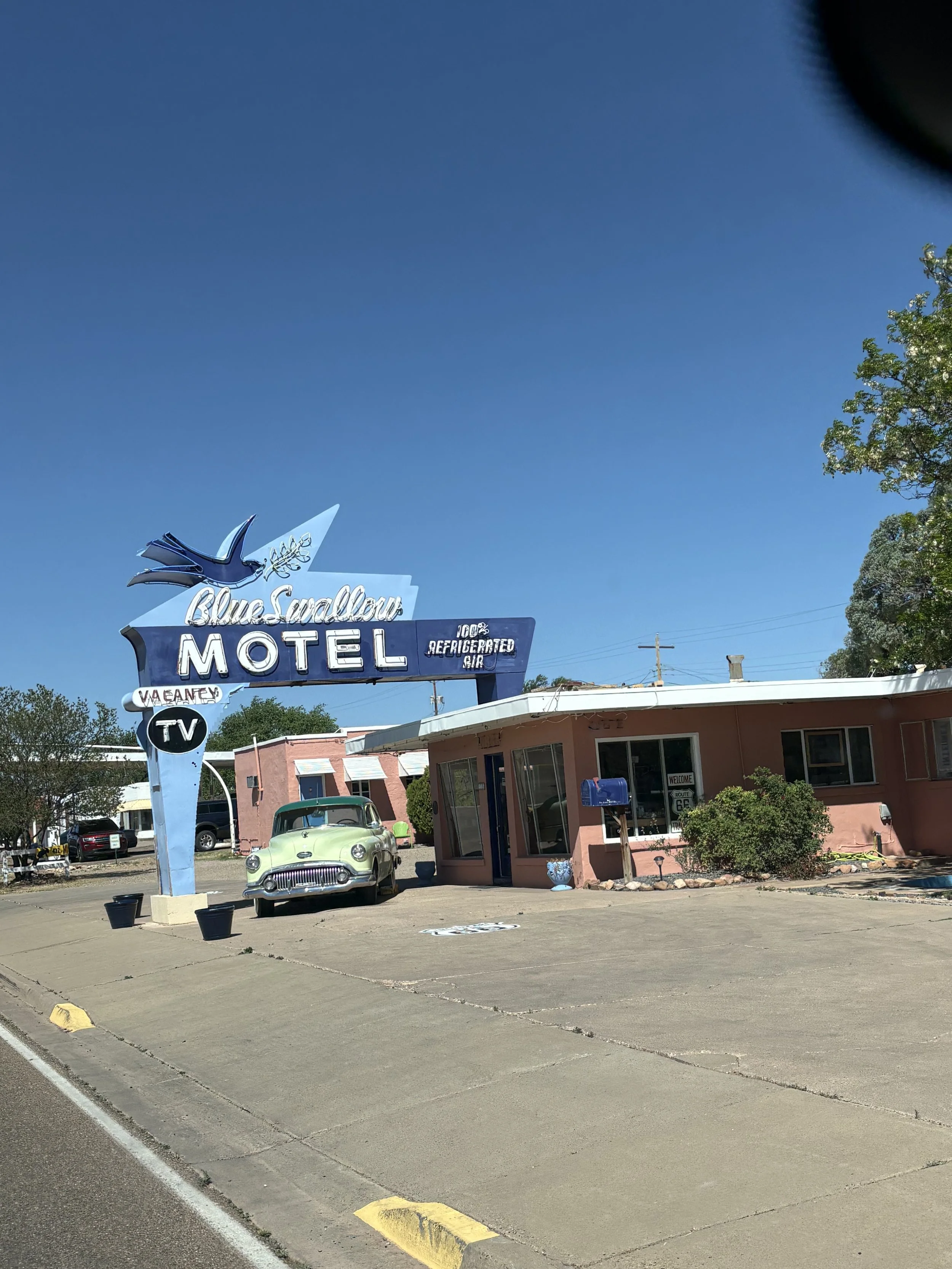 The Blue Swallow
