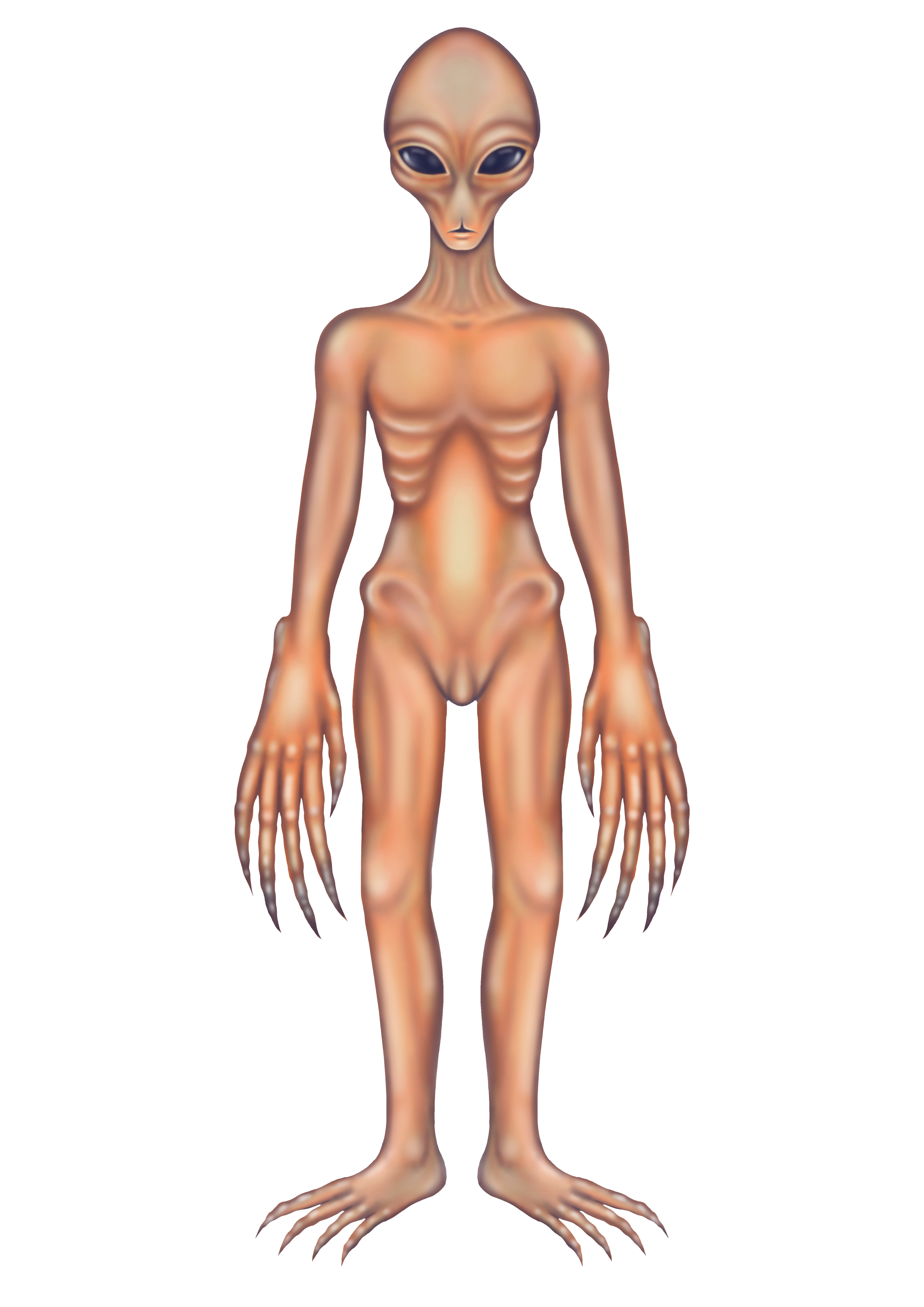 Untitled_Artwork 14.png