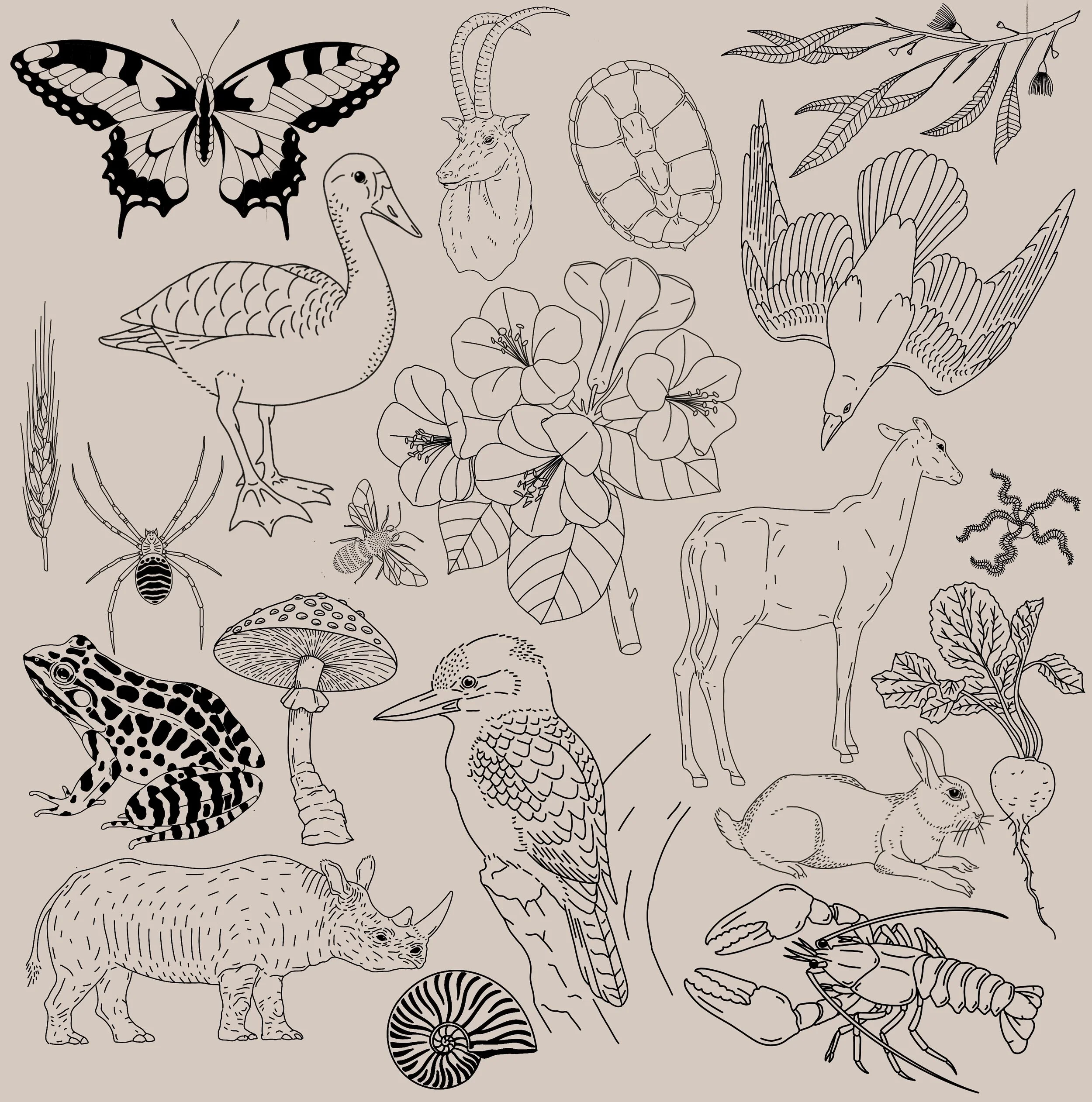 Untitled_Artwork 223.JPG
