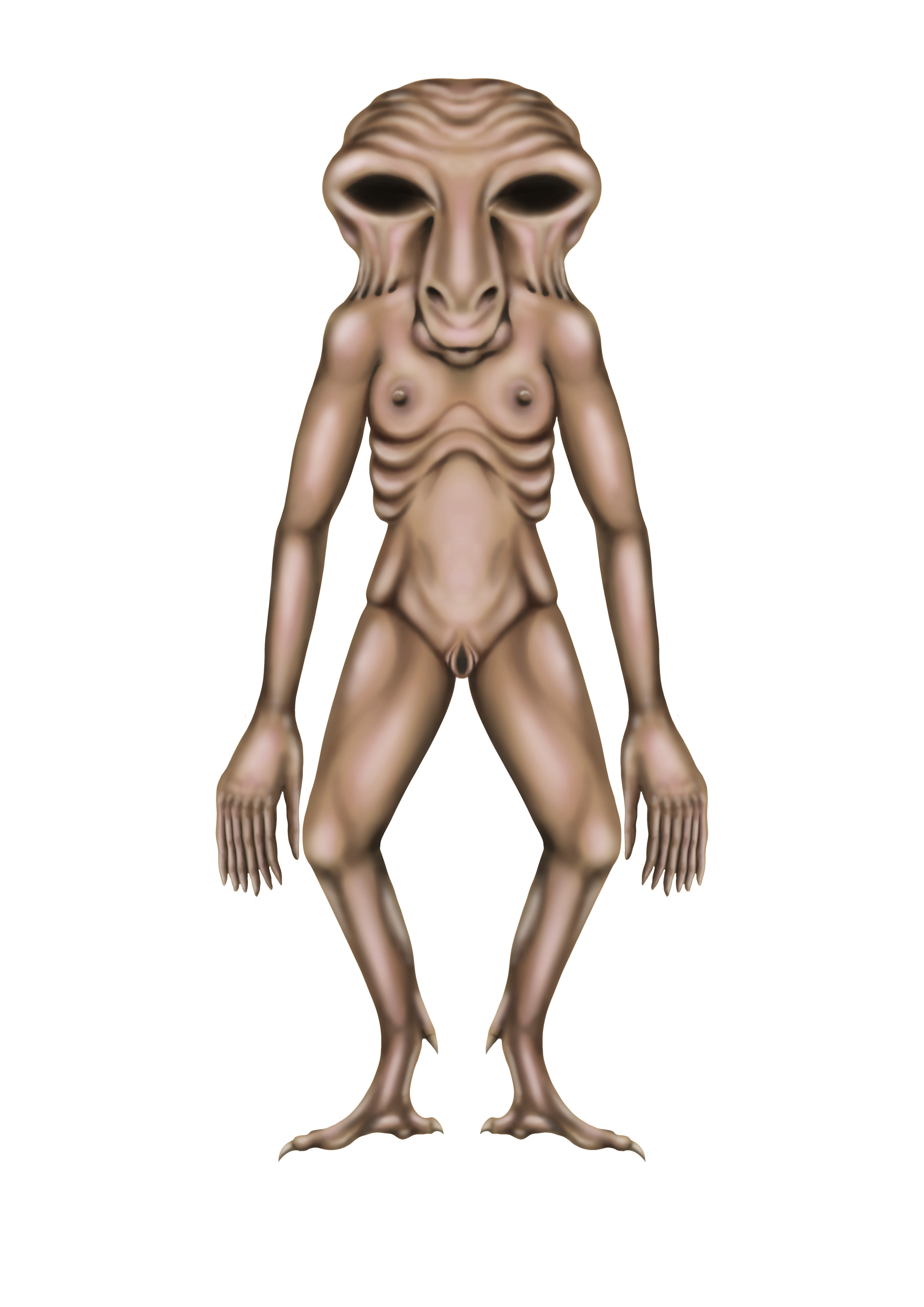 Untitled_Artwork 9.png