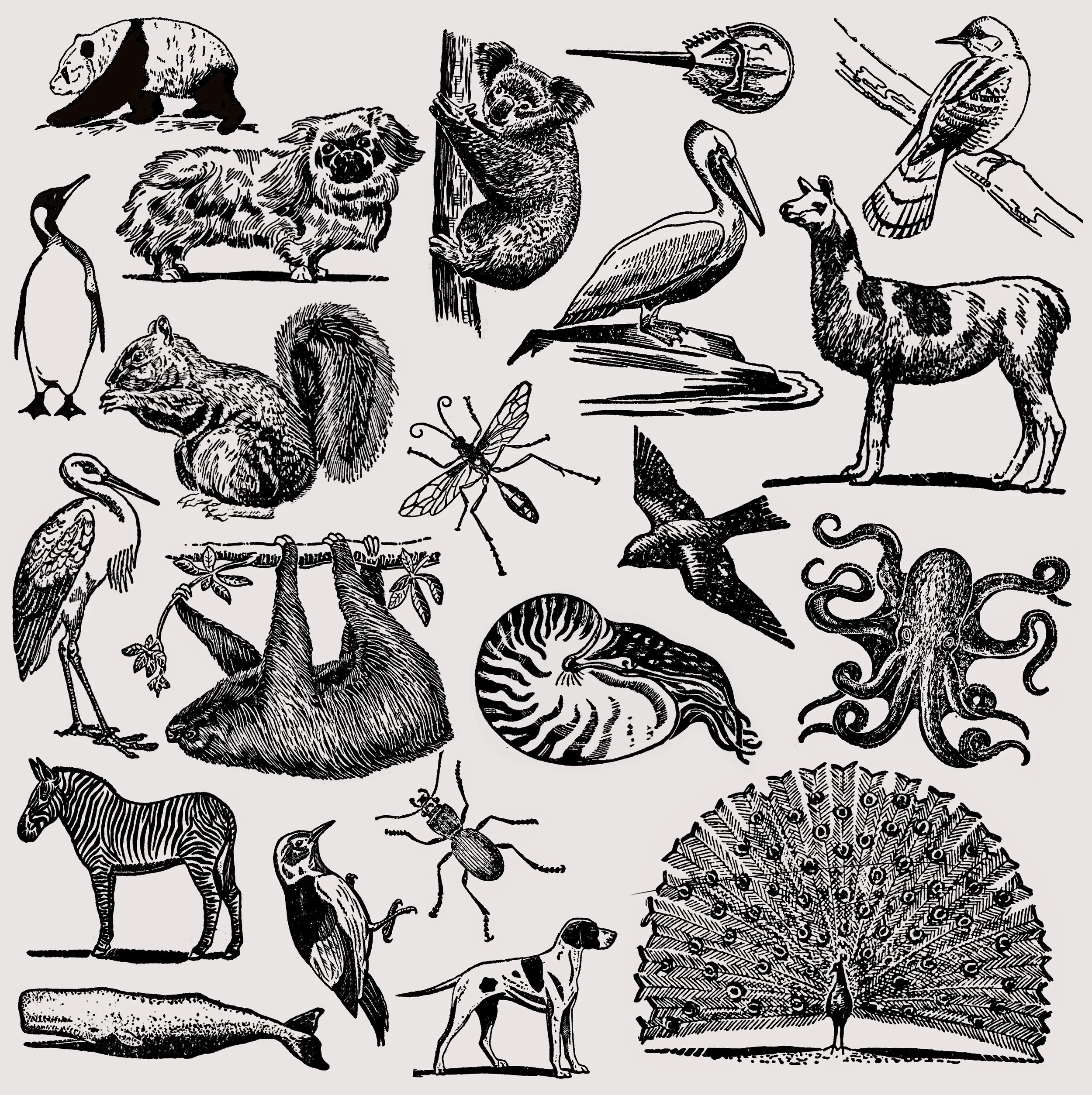 Untitled_Artwork 272.JPG