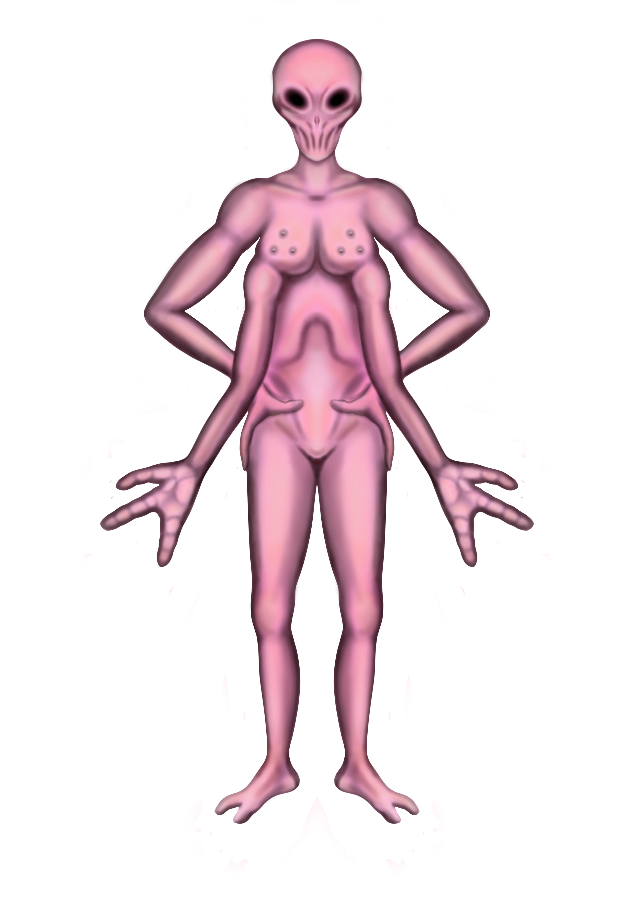 Untitled_Artwork 16.png