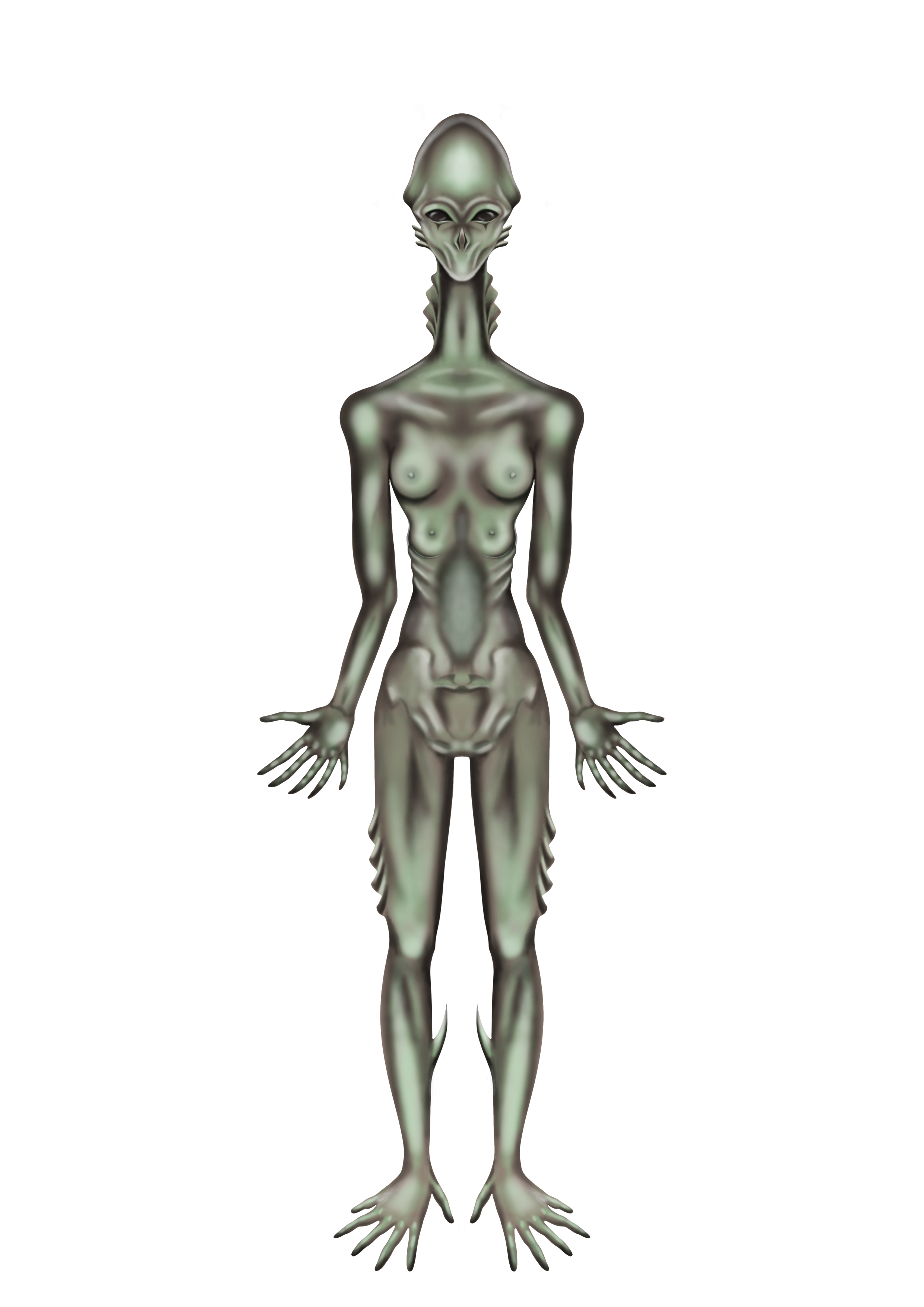 Untitled_Artwork 24.png