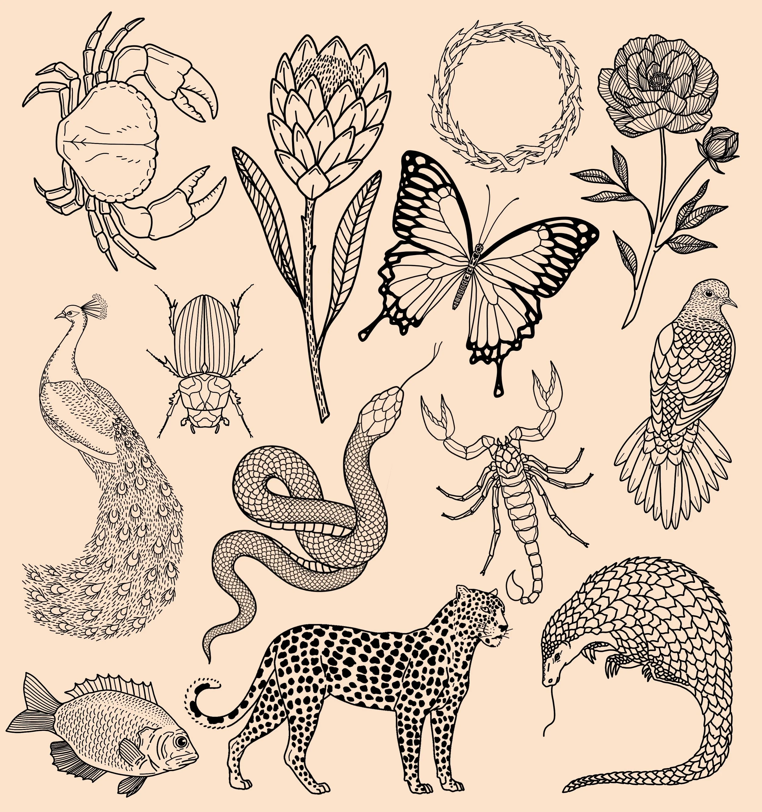 Untitled_Artwork 230.JPG