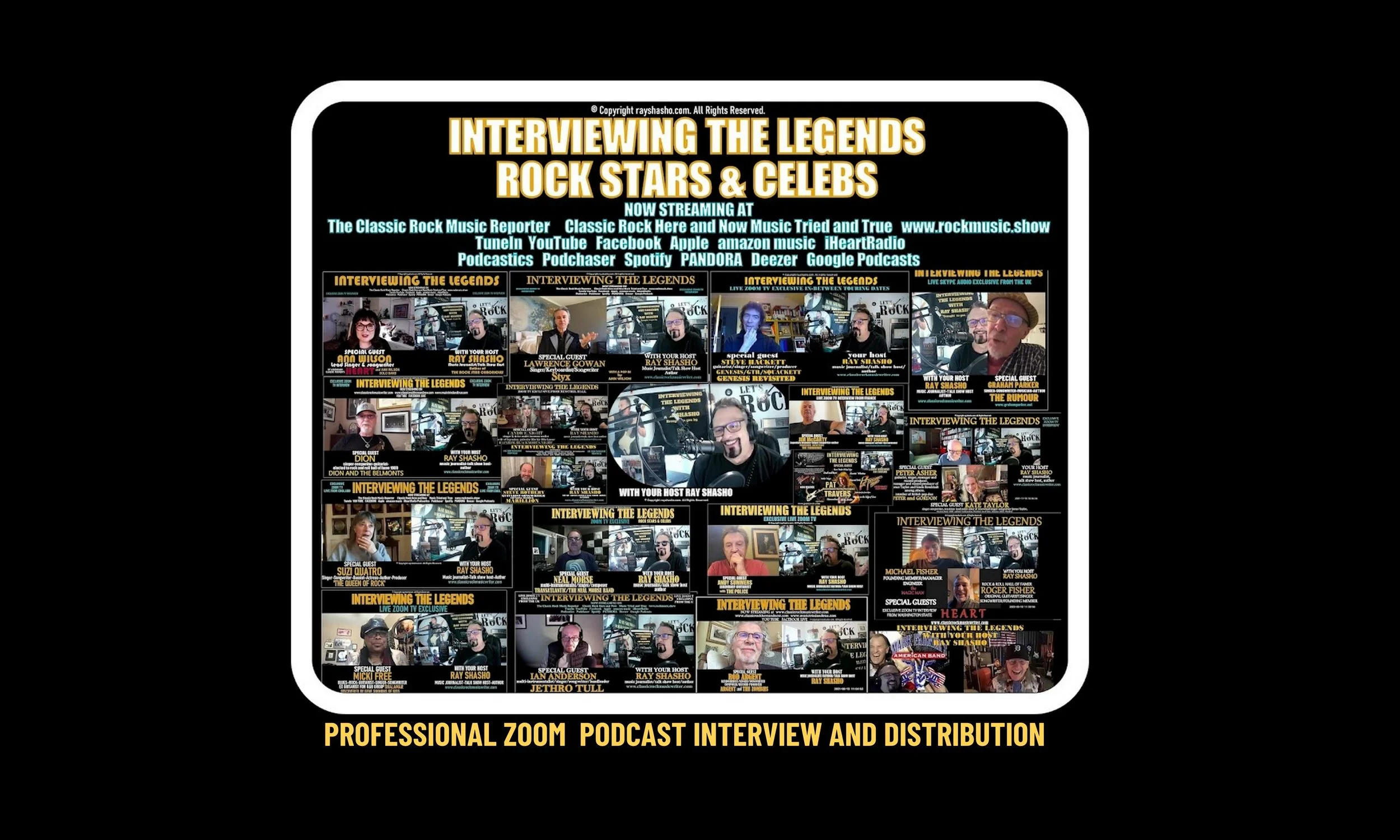 Zoom Professional Interview and Distribution Package