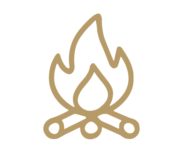 Icon of a campfire with flames and logs.