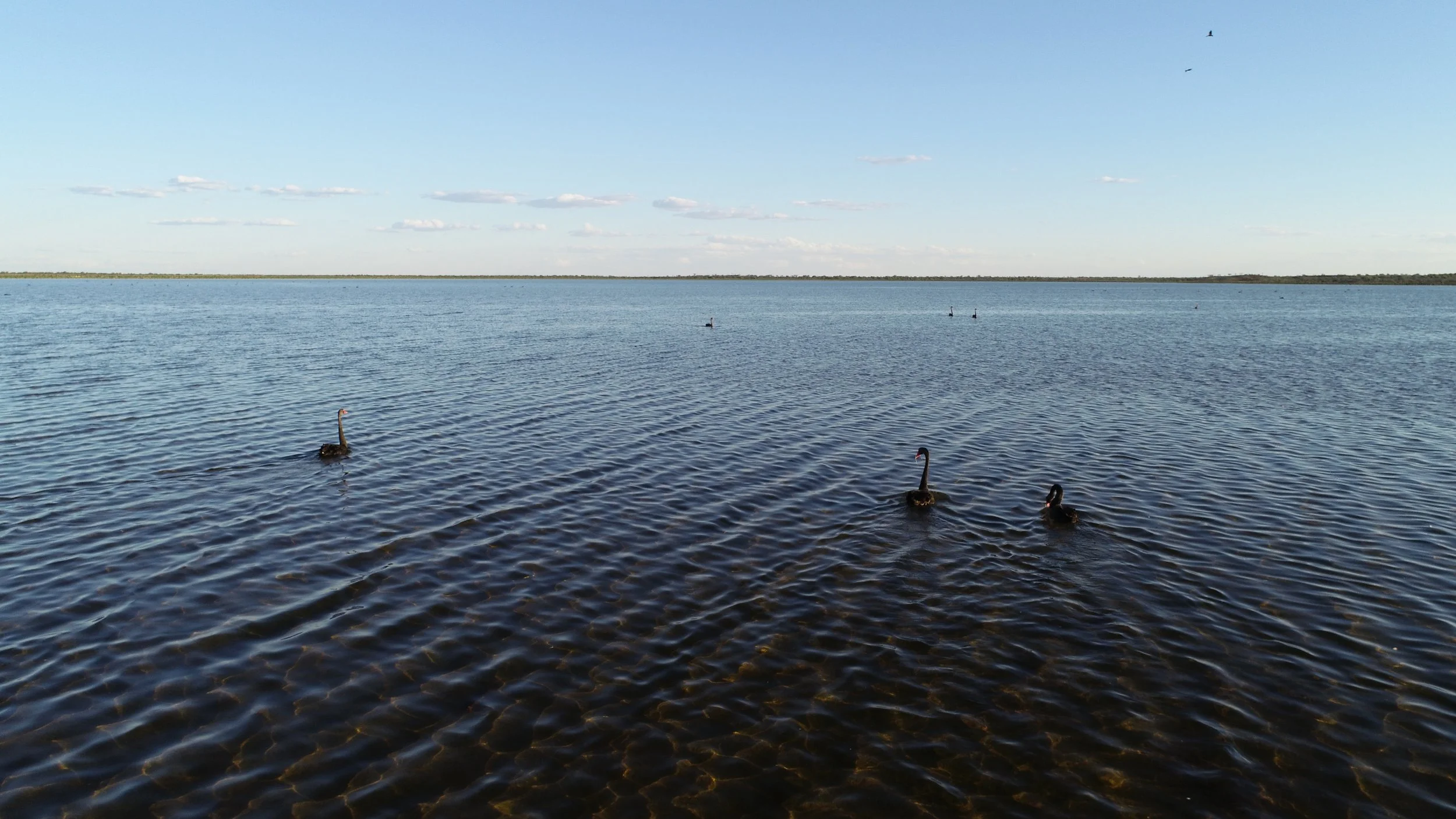 DJI_0004.JPG