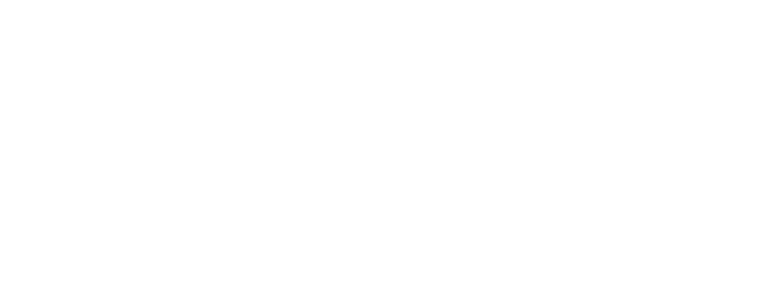 Play Co.