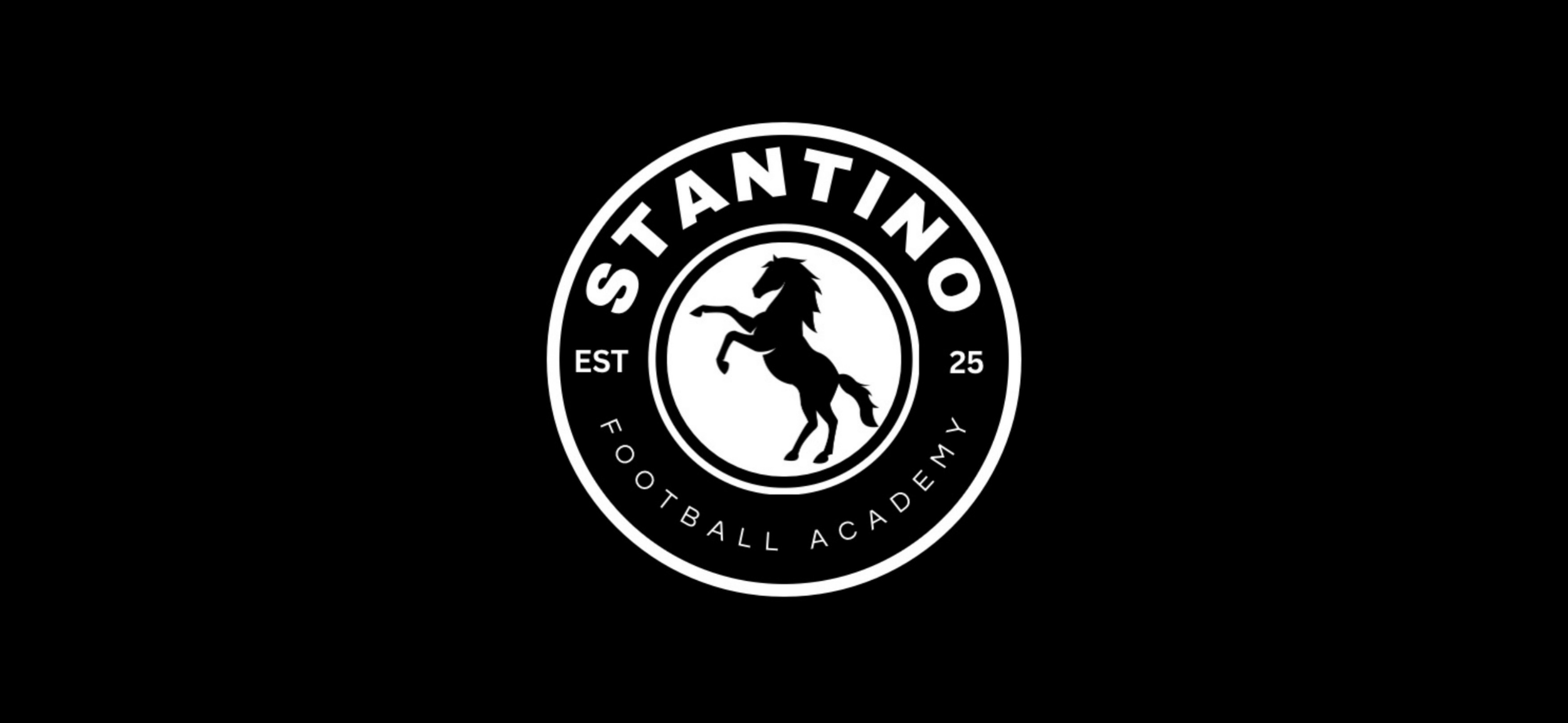 Stantino Logo.png
