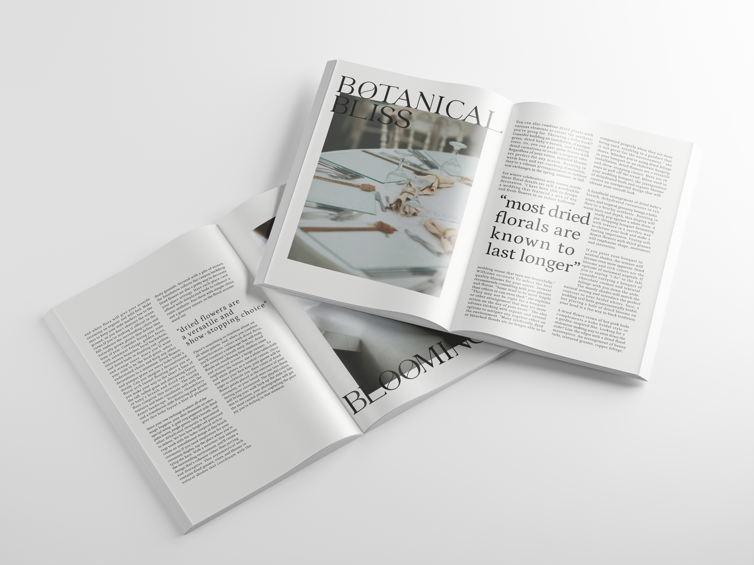 2 spreads mockup.png