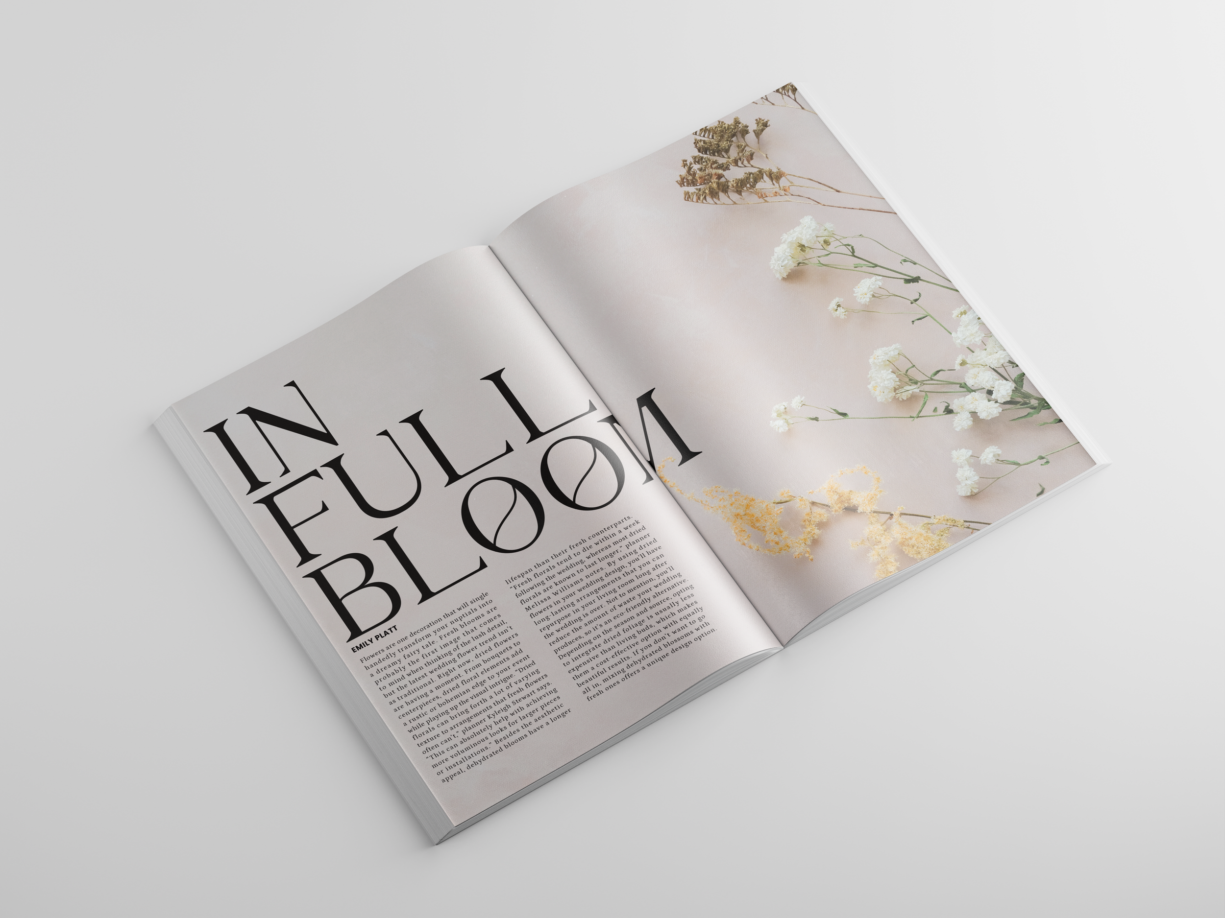 spreadmockup1.png