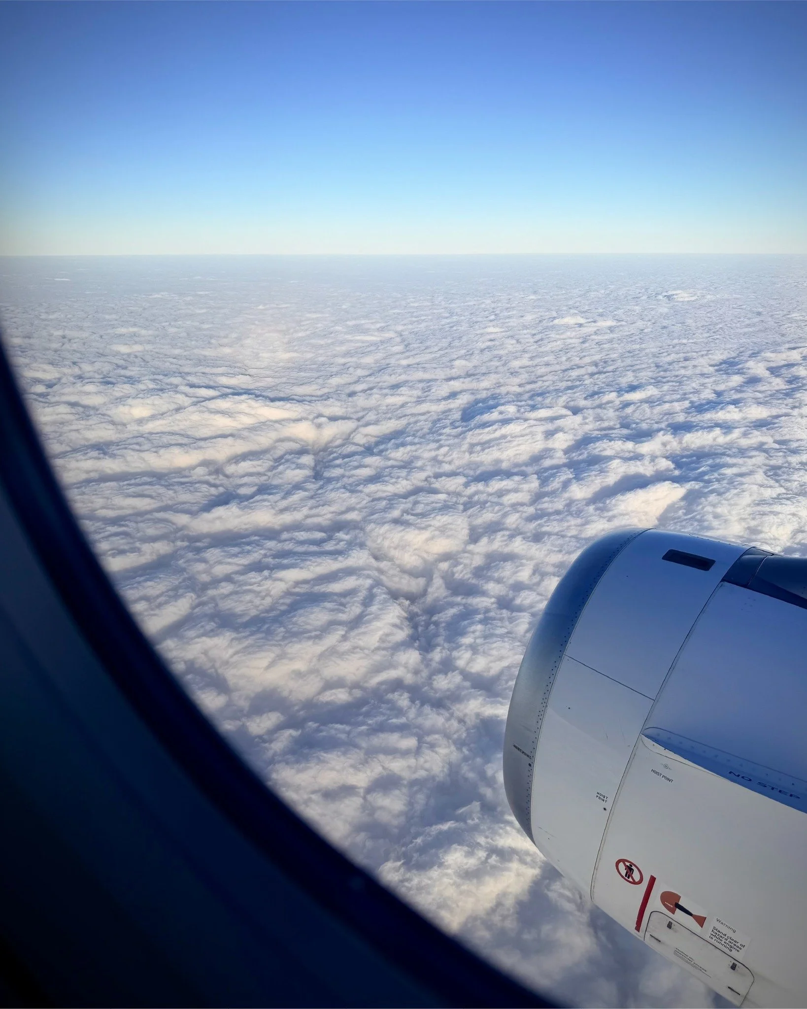 Flying at altitude over our fleece lined country. You cozy down there, Aotearoa, land of the long white fleece?
.
.
.
.
#kittingandflying #nzwool #knitting #aotearoa #newzealand  #nzknits
