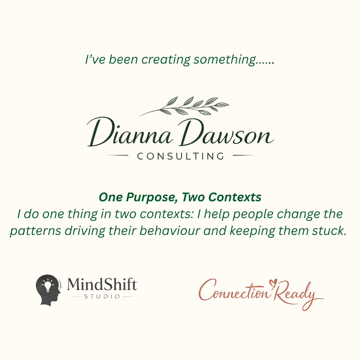 Dianna Dawson Consulting post cover