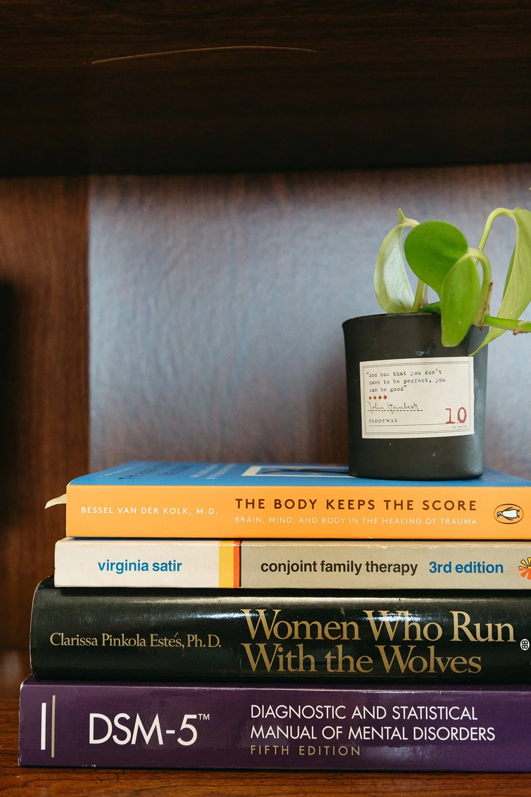 Stack of four books with a potted plant on top. The top book is titled "The Body Keeps the Score" by Bessel van der Kolk, the second book is "conjoint family therapy" by Virginia Satir, the third is "Women Who Run With the Wolves" by Clarissa Pinkola Estés, Ph.D., and the bottom book is "DSM-5" diagnostic and statistical manual of mental disorders.