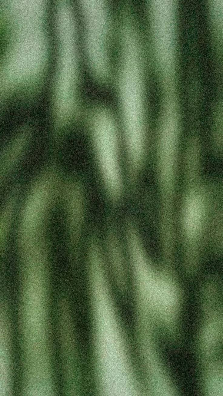Close-up of green grass blades with a blurry focus.