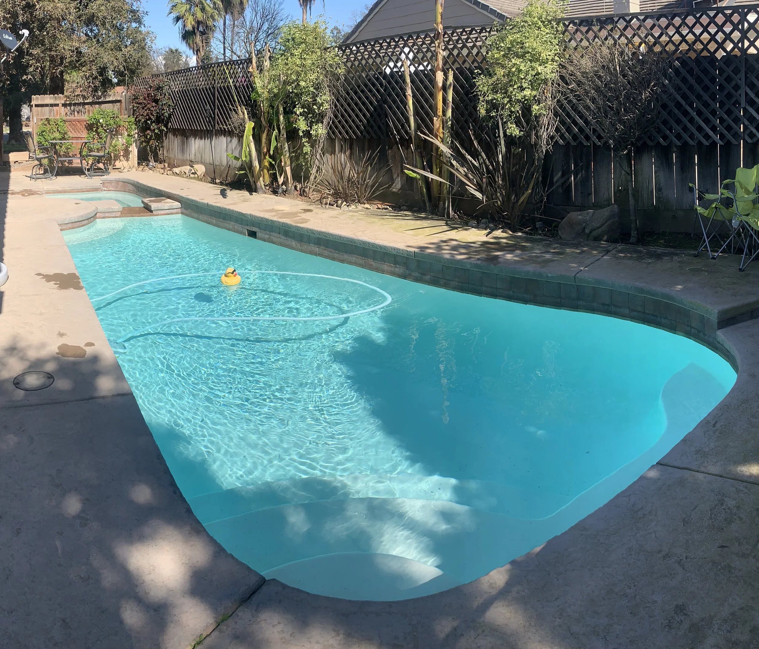 A backyard swimming pool with a small floating rubber duck, surrounded by a concrete deck, outdoor furniture, and a wooden fence with plants growing along it. Trees and a house are visible in the background.