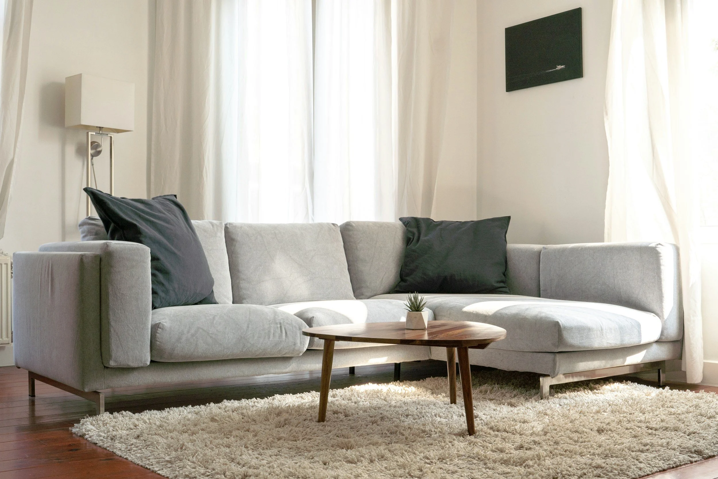 A living room with a light gray sofa, black and gray pillows, a small wooden coffee table with a small plant, a cream-colored shag rug, white curtains, a wall-mounted TV, and a tall wall lamp.