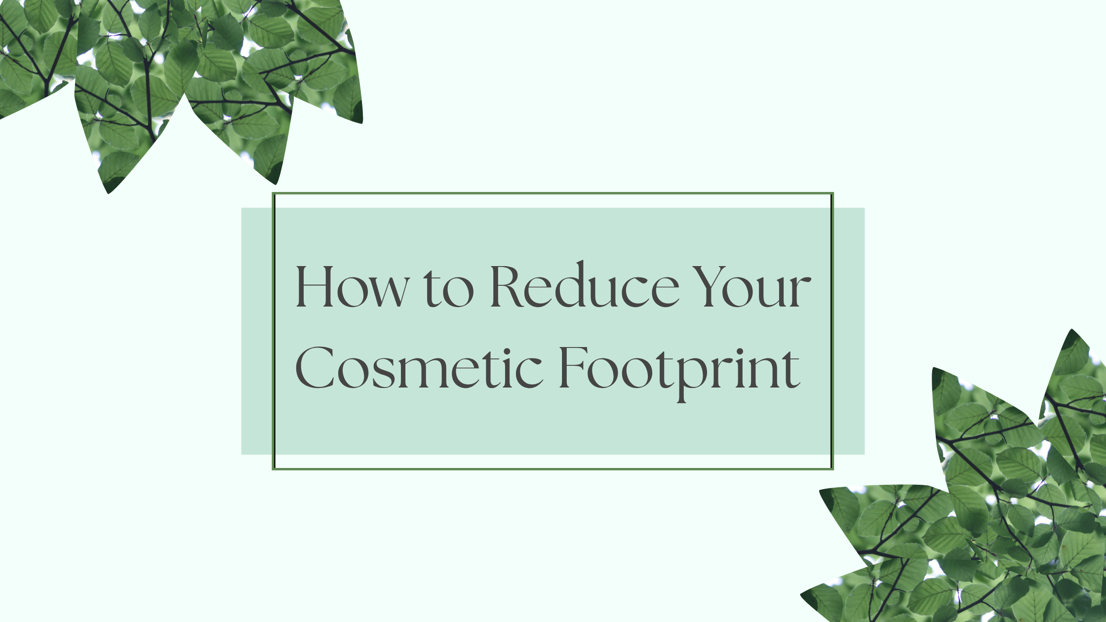 How to Reduce Your Cosmetic Footprint&nbsp;