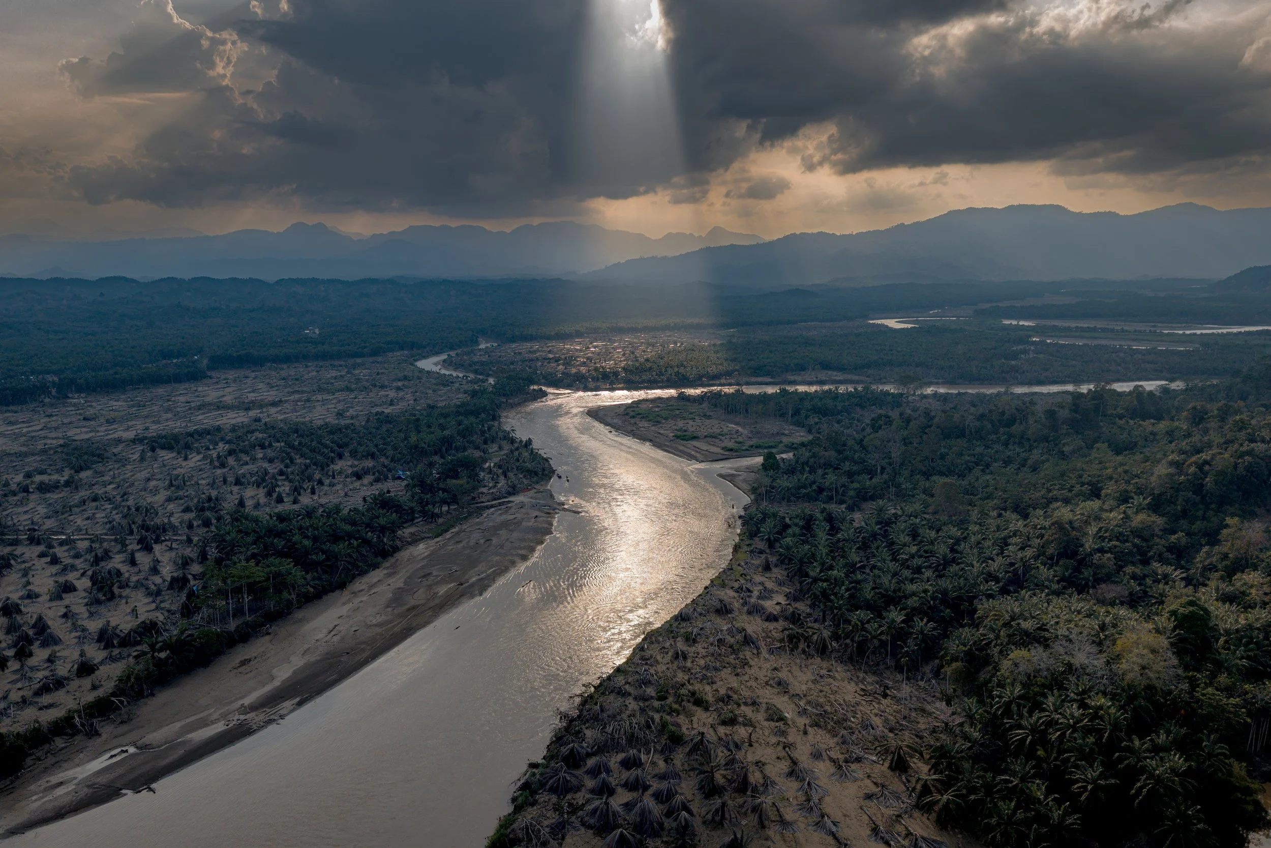 Muhammad Zaenuddin_Echoes of a Vanishing Forest_01.jpg