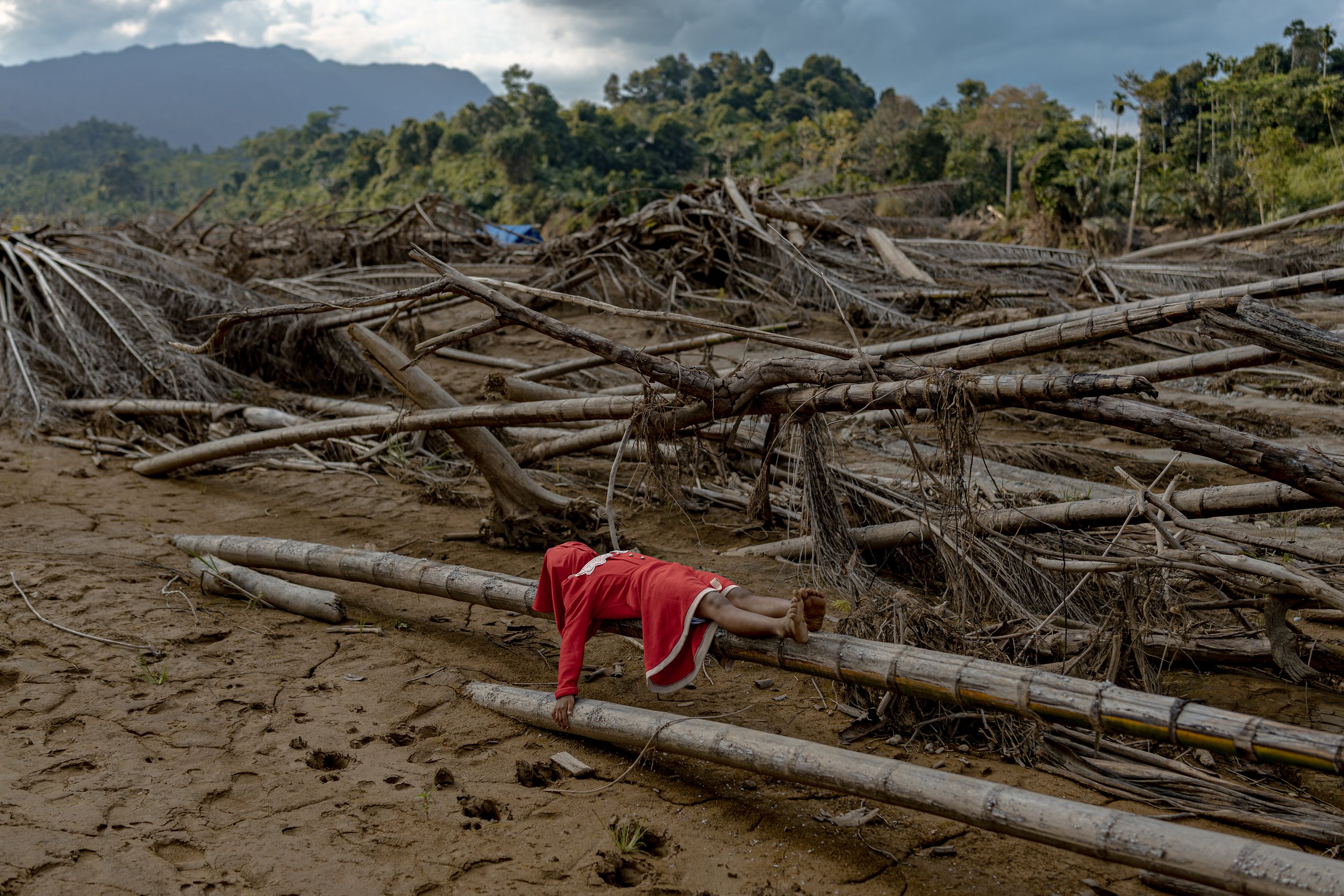 Muhammad Zaenuddin_Echoes of a Vanishing Forest_02.jpg