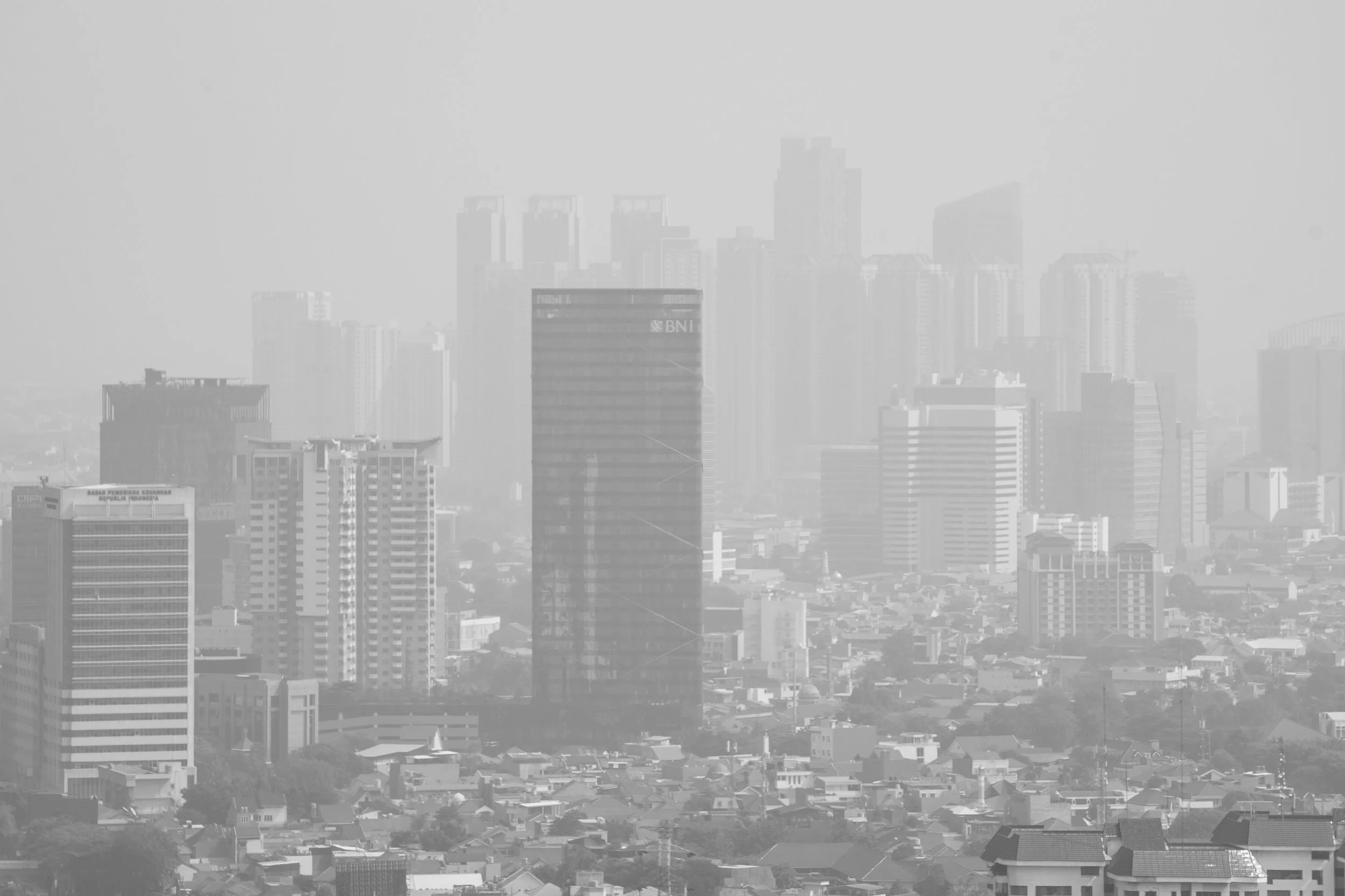 Poison in the Sky - Muhammad Zaenuddin 13.jpg