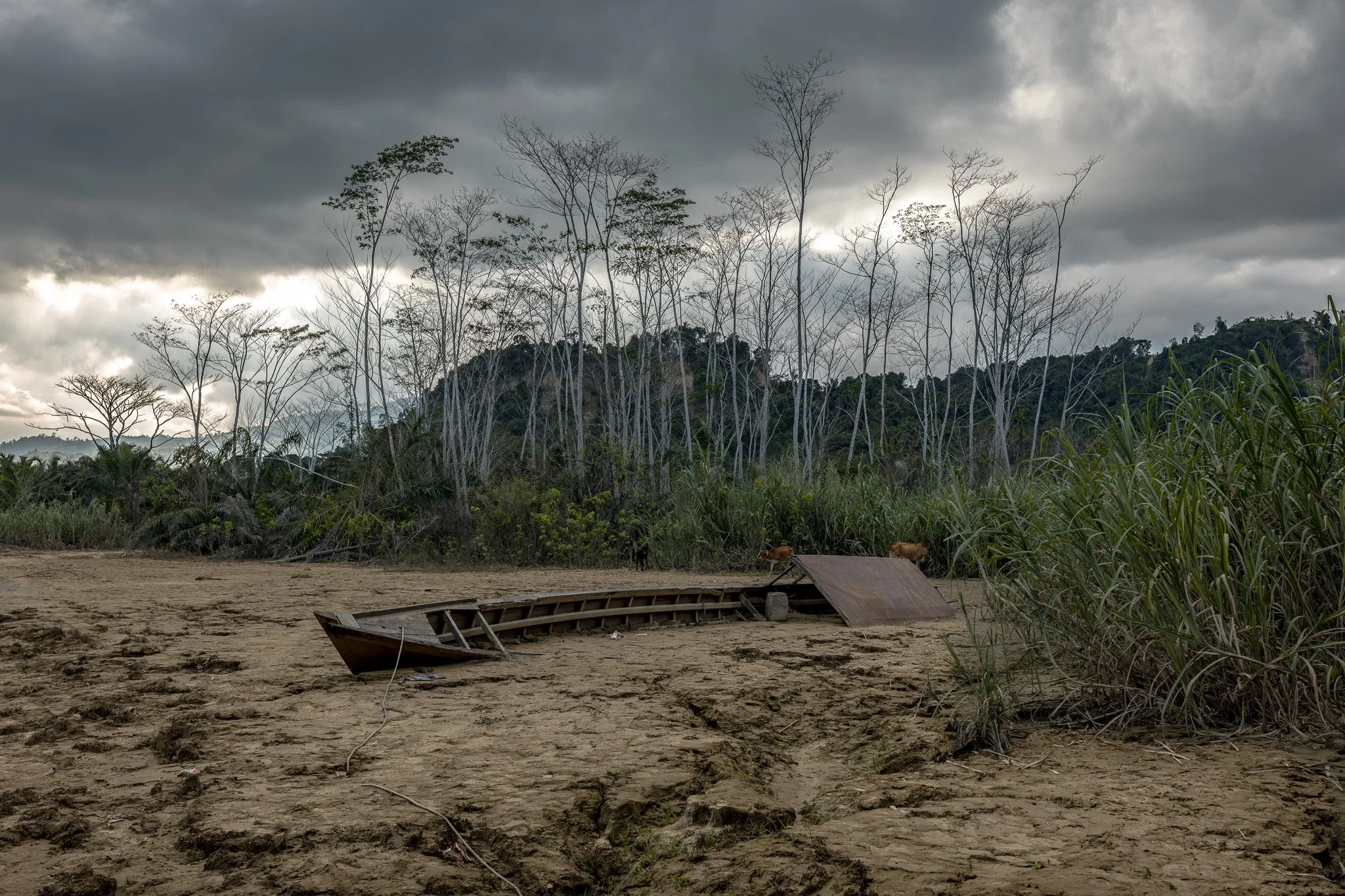Muhammad Zaenuddin_Sumatra Deadly Flood_03.jpg
