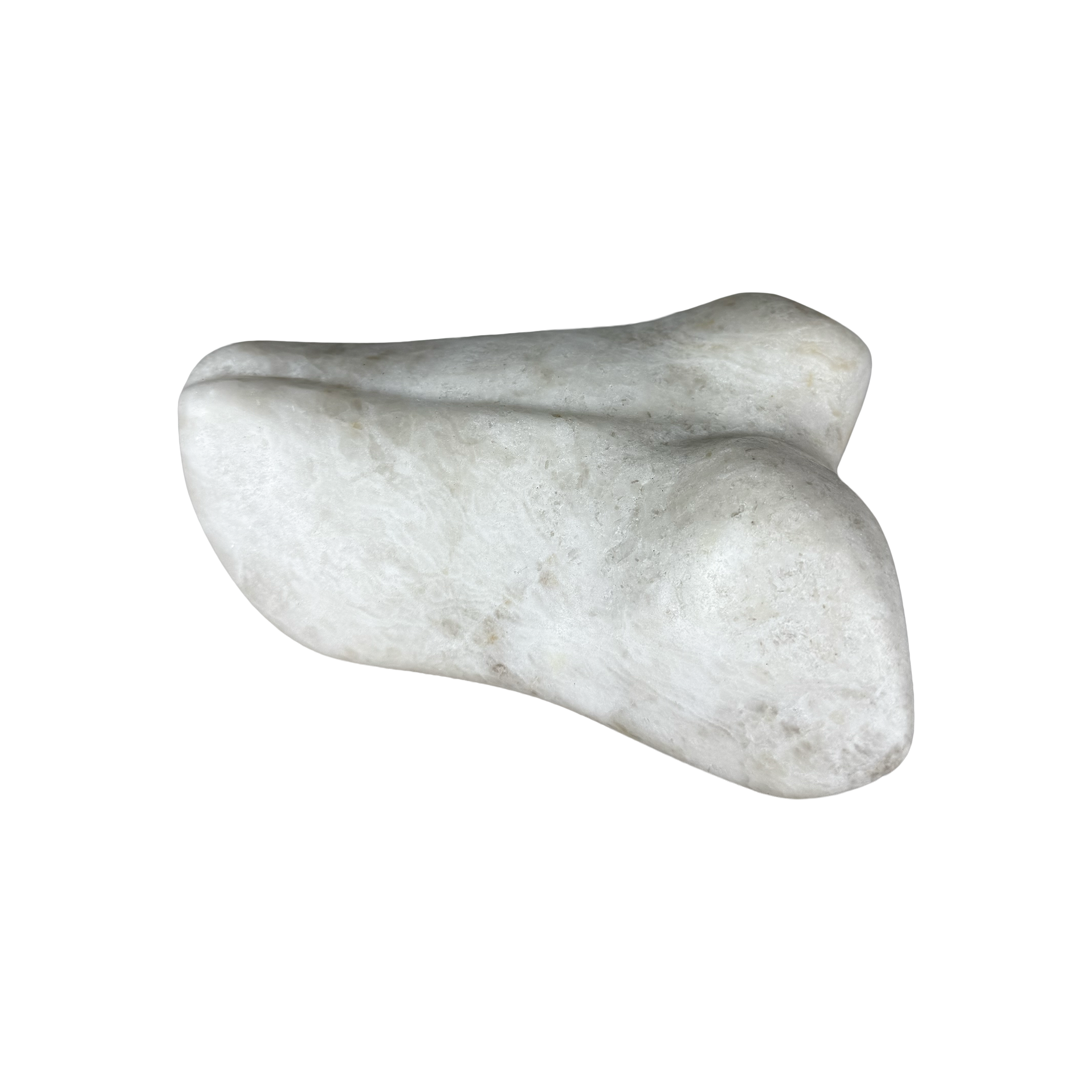 FFMP01A - Untitled (small study of posterior).2.png