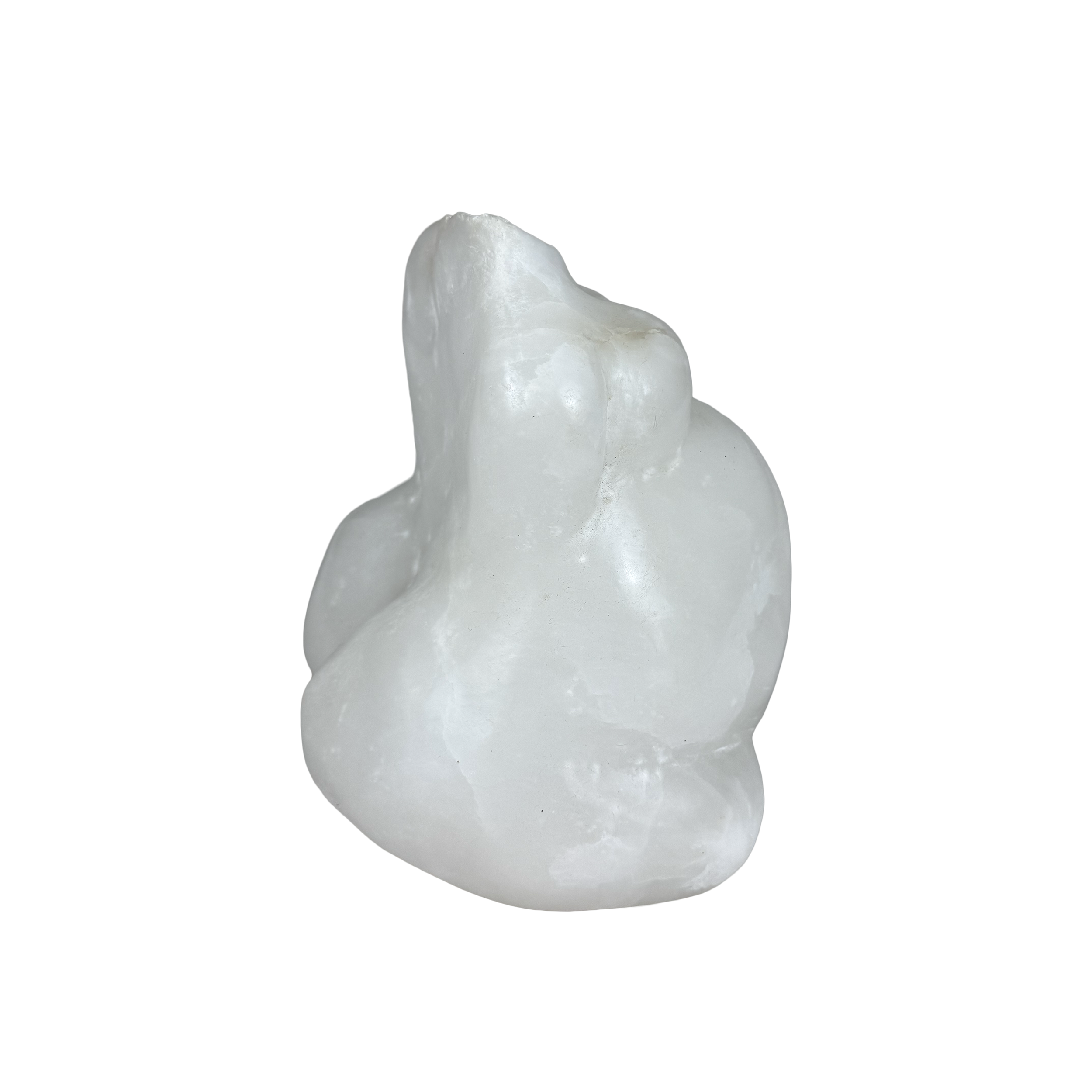 FF40 - Untitled (Pregnant torso).3.png