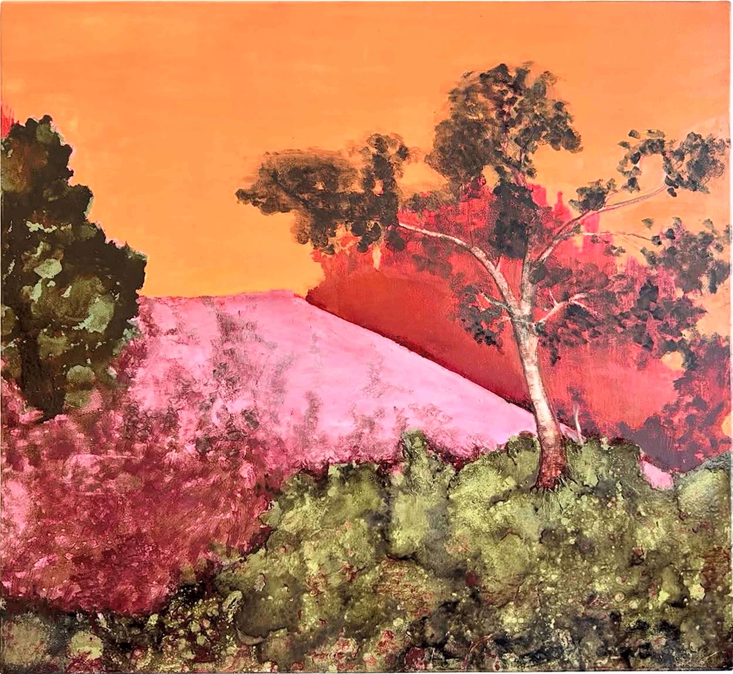 "The Hill"/ Michael Frechette