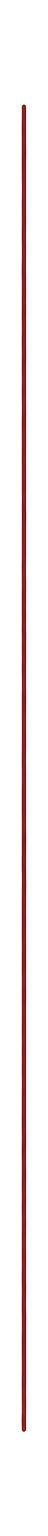 A vertical measuring stick with a red tip and a black body, standing next to a small blue pen holder containing various pens and pencils. The background is plain white.