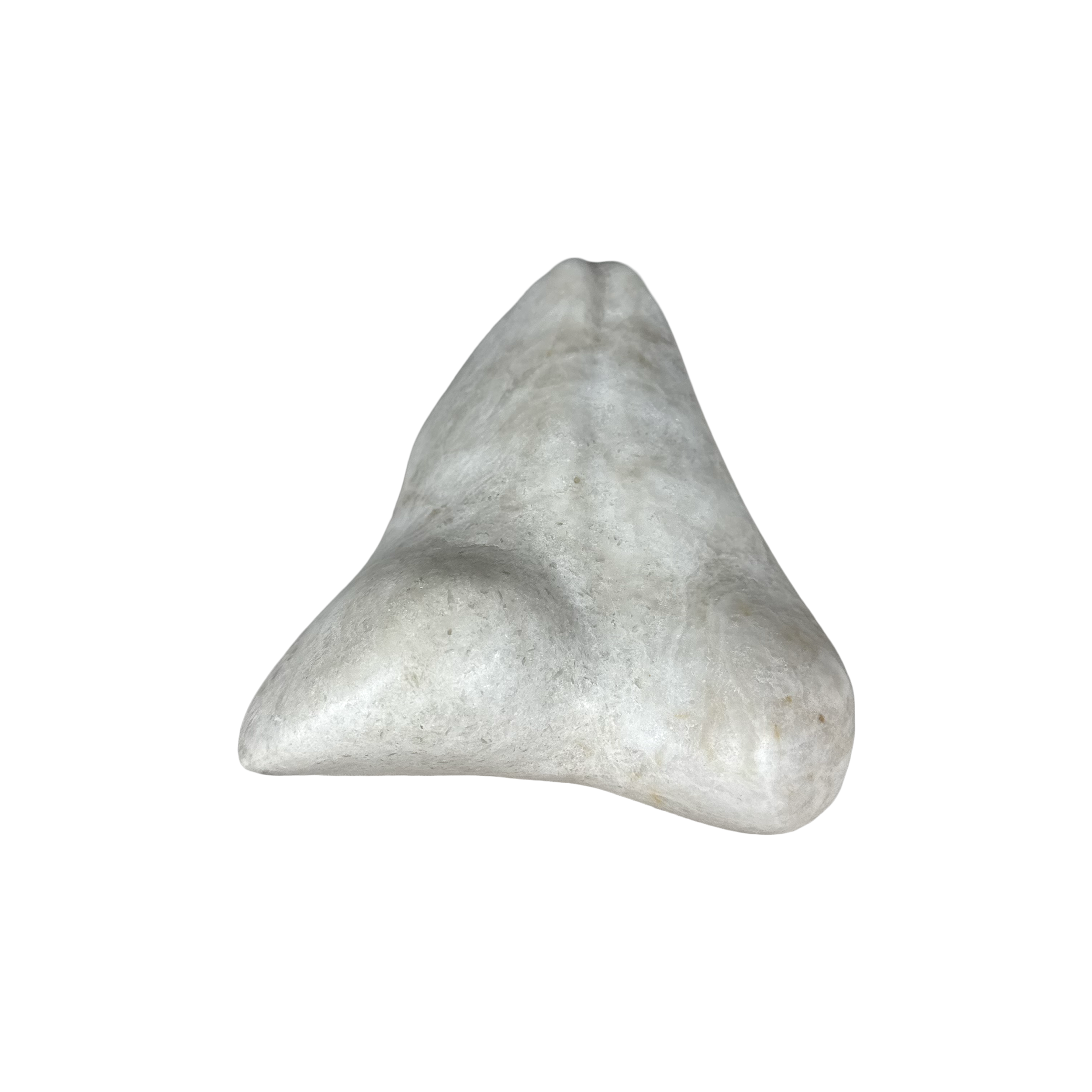 FFMP01A - Untitled (small study of posterior).png