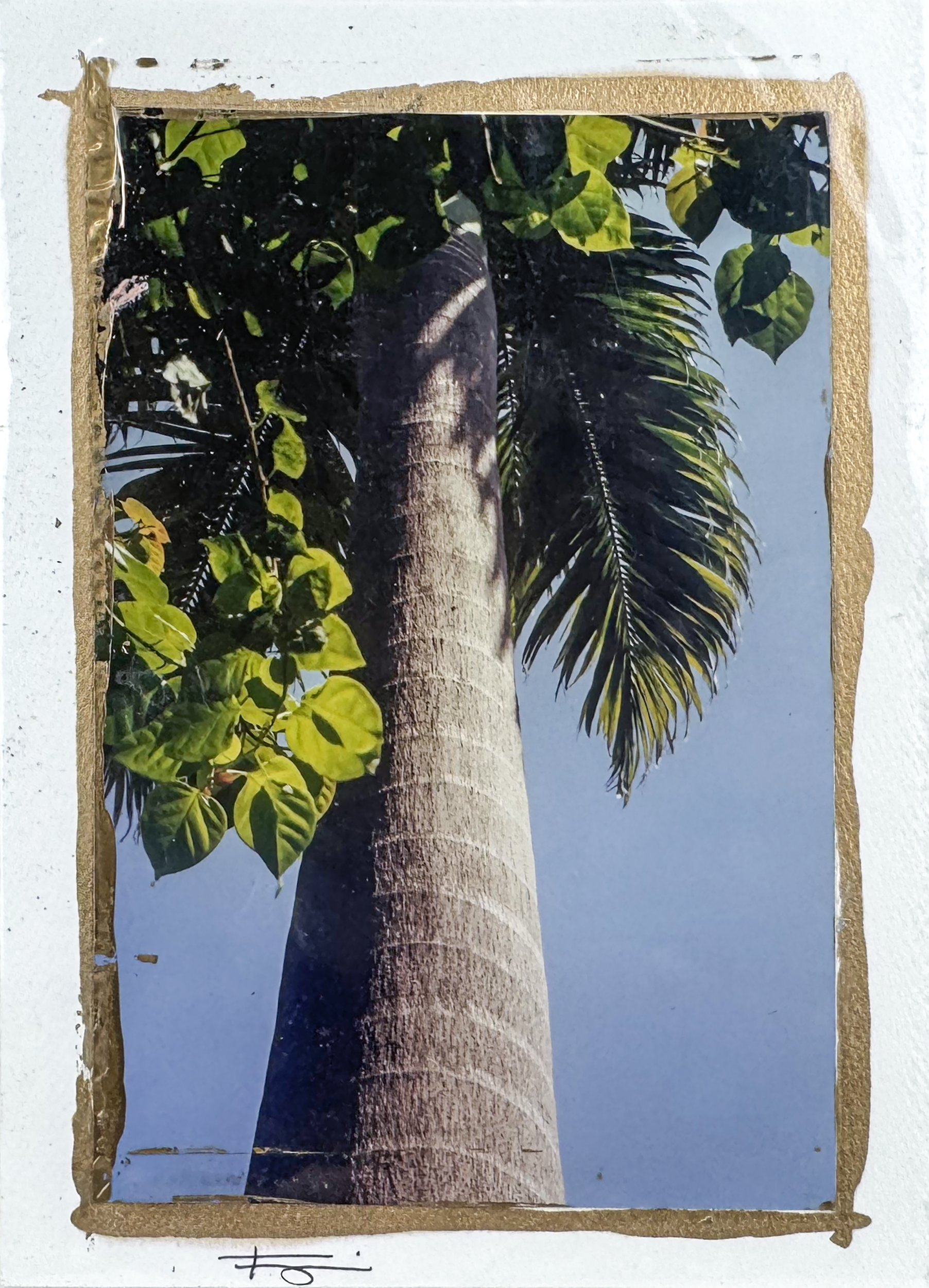 Untitled (postcard)
