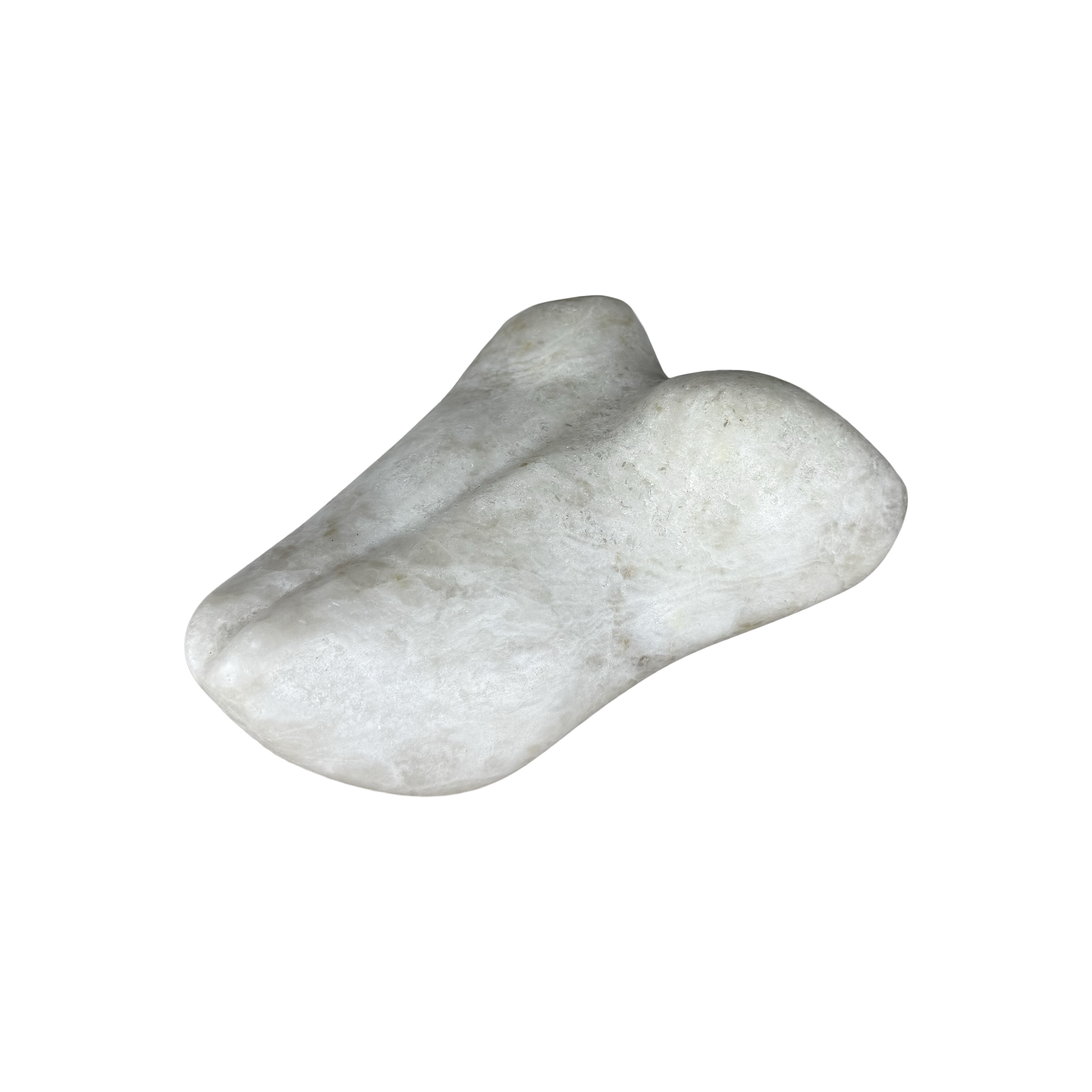 FFMP01A - Untitled (small study of posterior).3.png