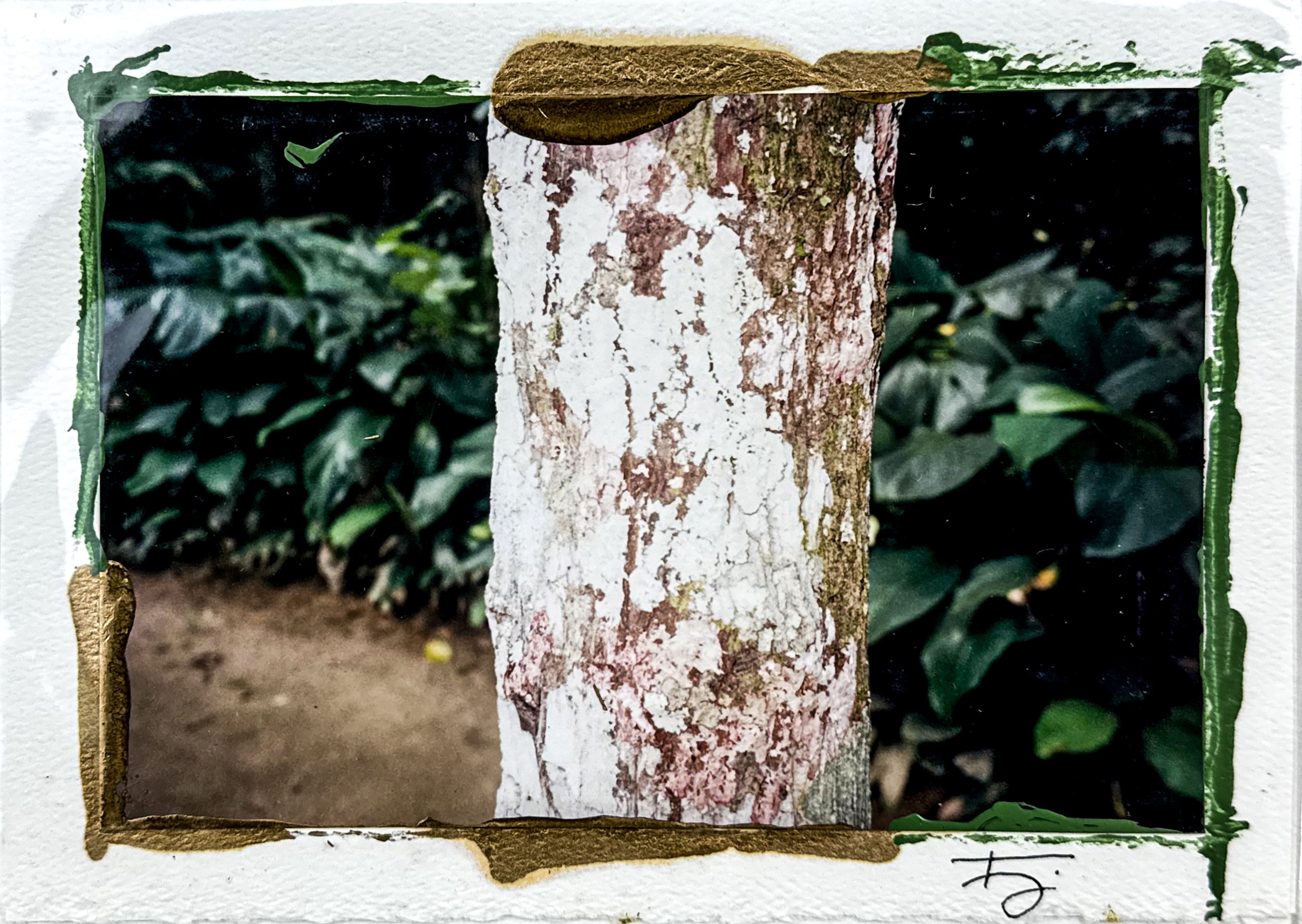 Untitled (postcard)