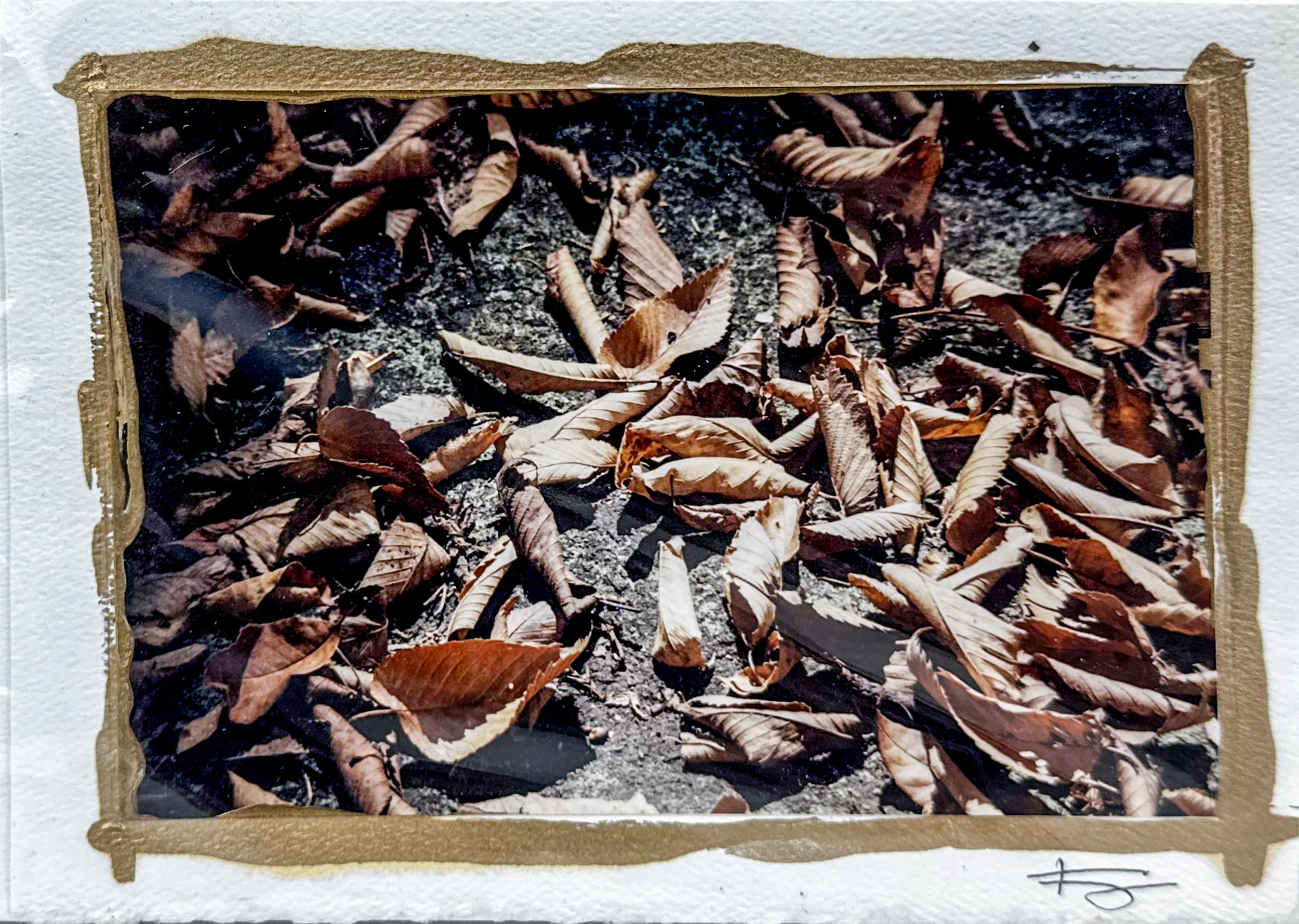 Untitled (postcard)