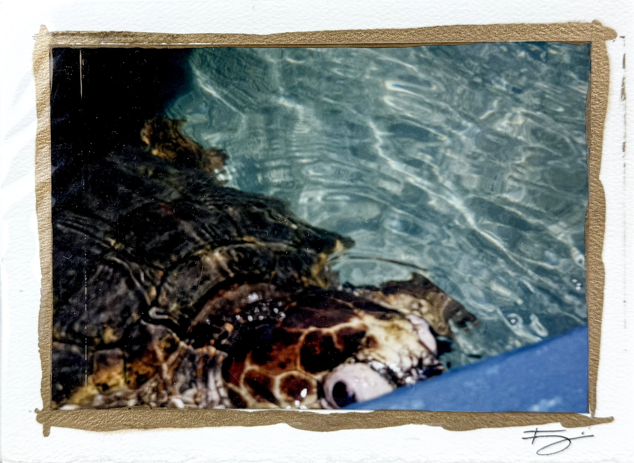 Untitled (postcard)