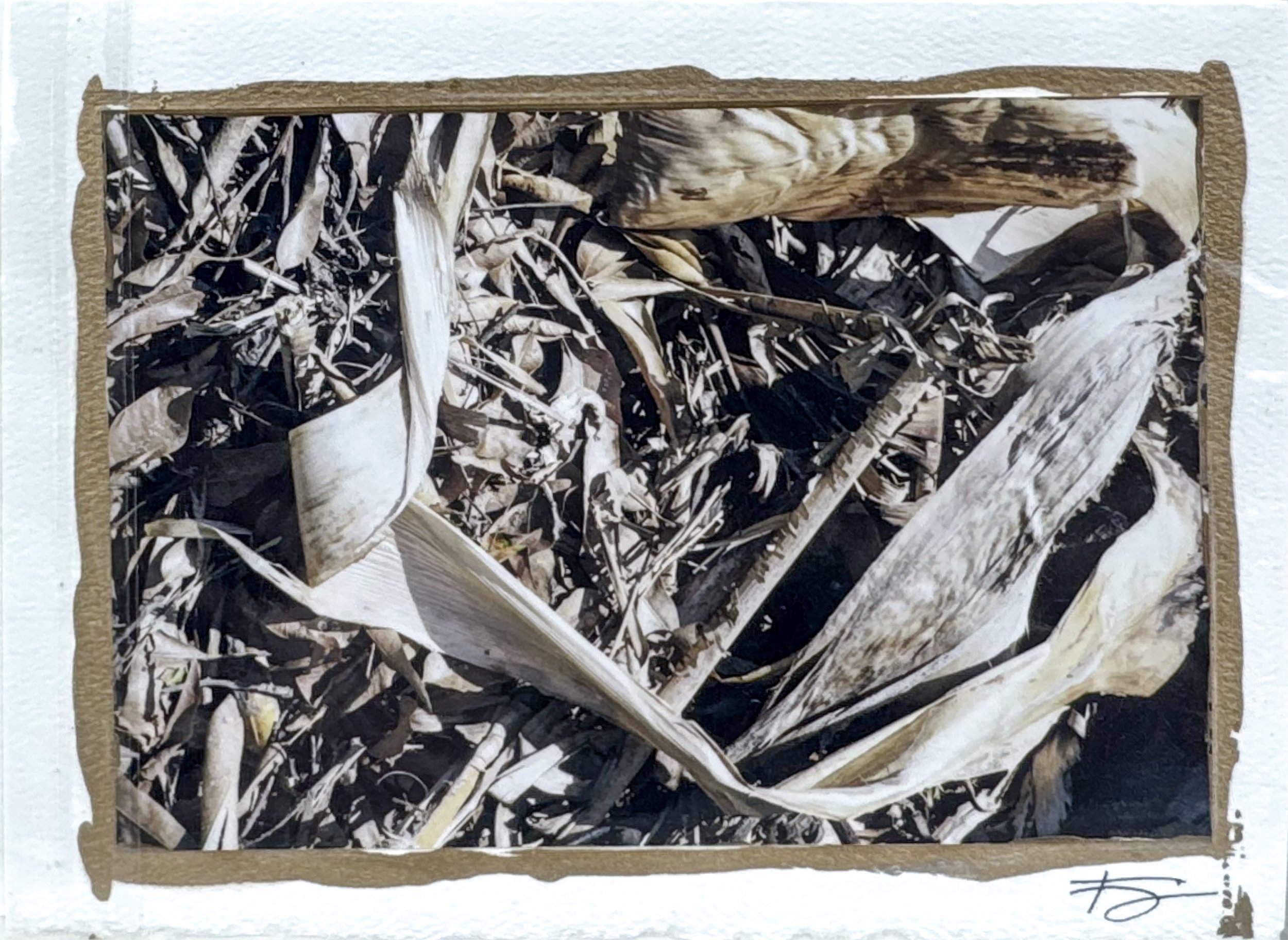 Untitled (postcard)