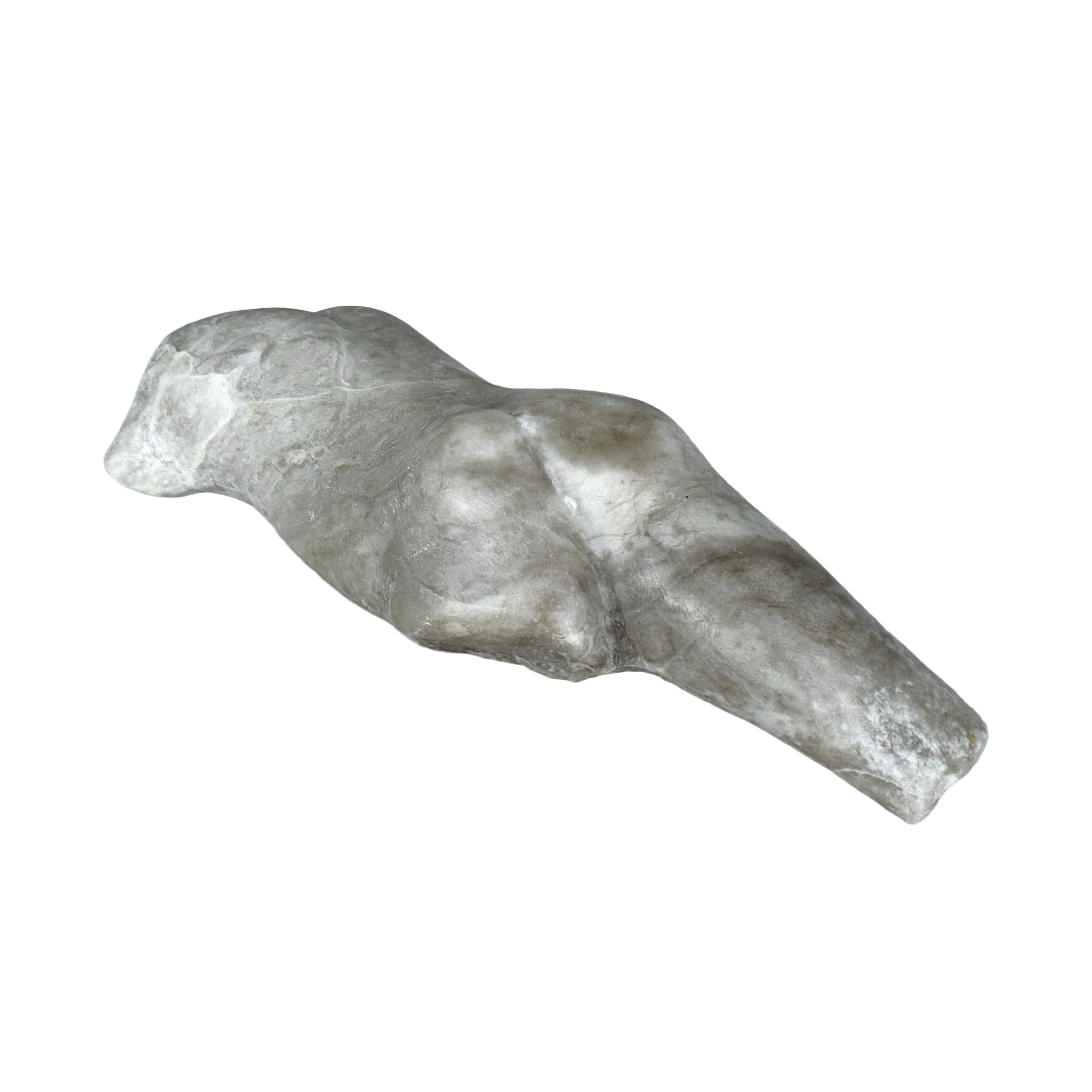 FFMP11B - Untitled (small swimming torso).png