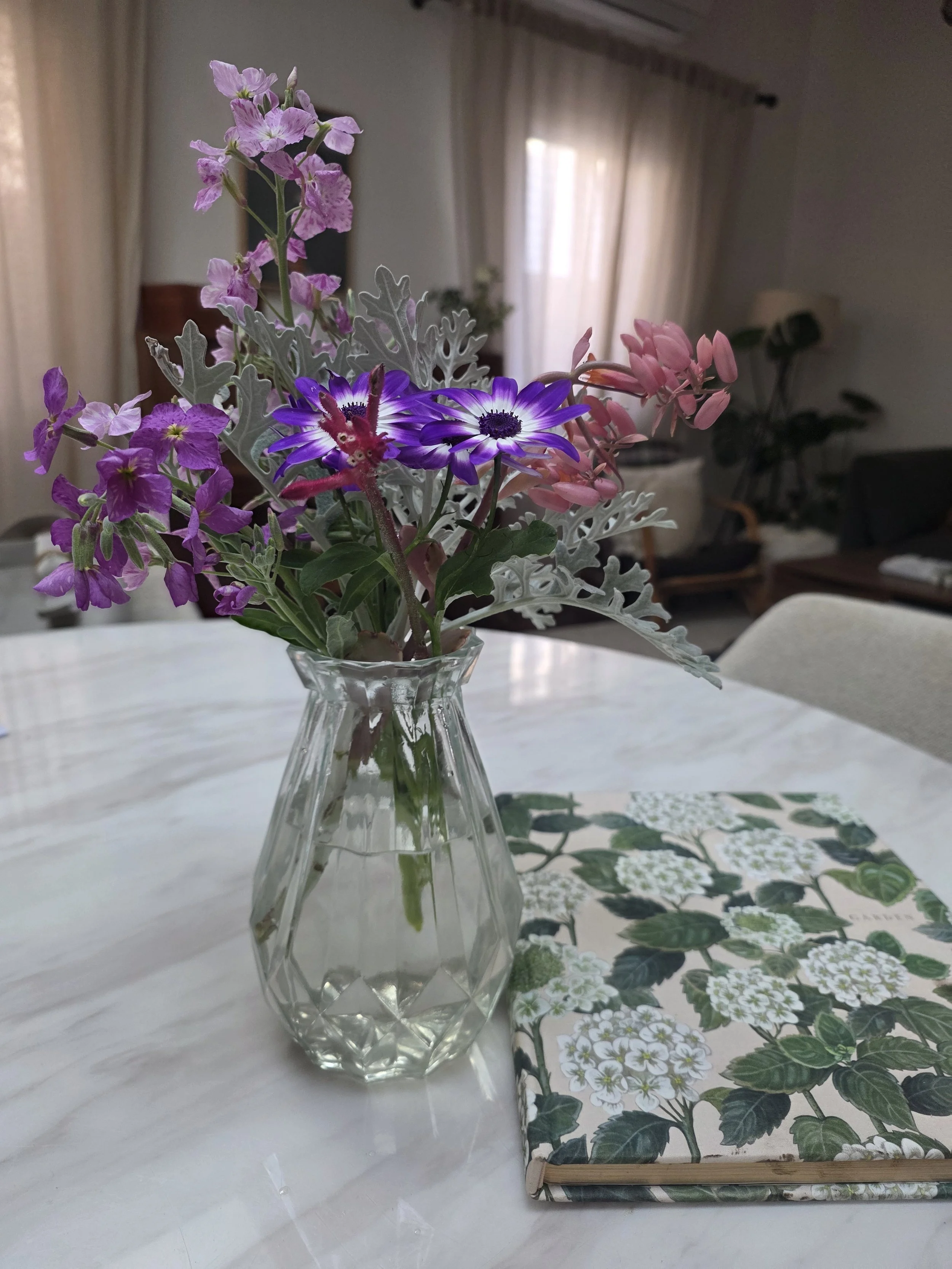 Finding the beauty in the world