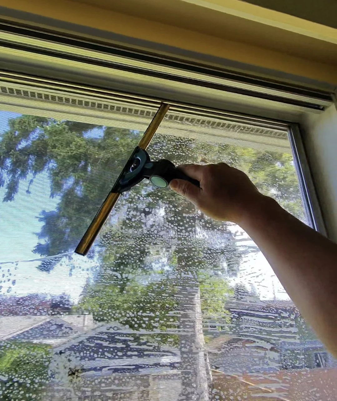 interior window cleaning delta