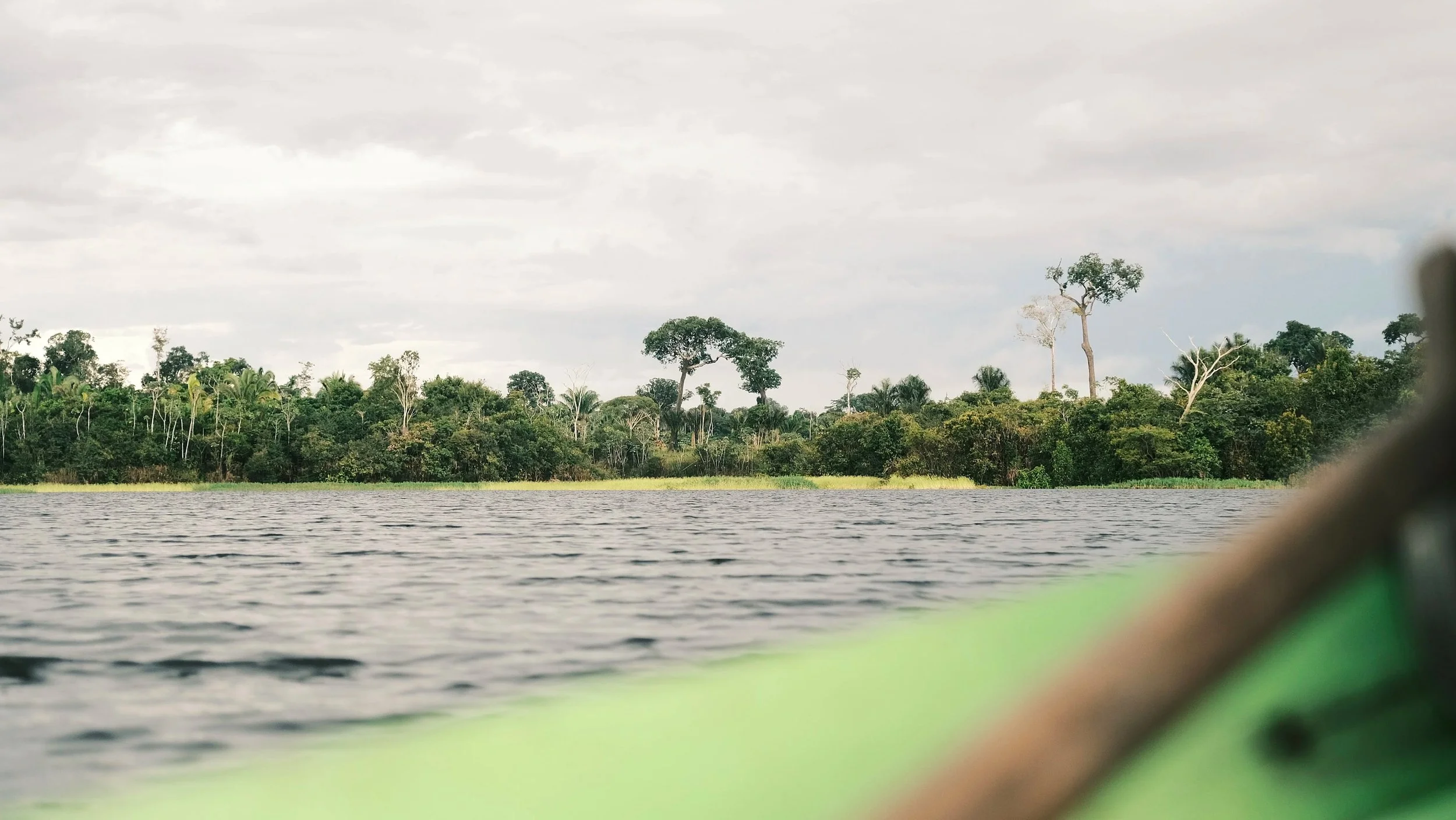 View of a river with a forested bank and trees under a cloudy sky, taken from a boat.