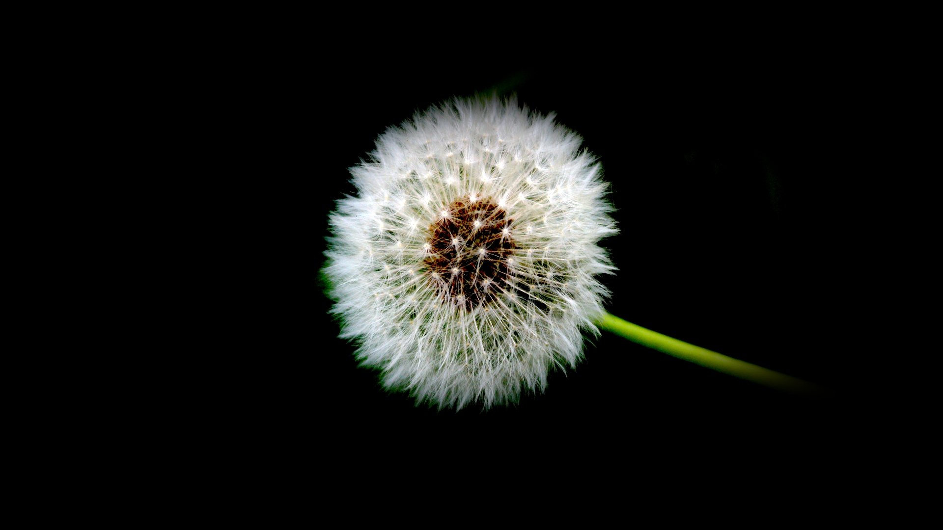 wish#.jpg
