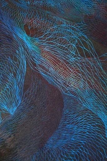 Abstract digital artwork with blue glowing, web-like branching patterns against a dark background.